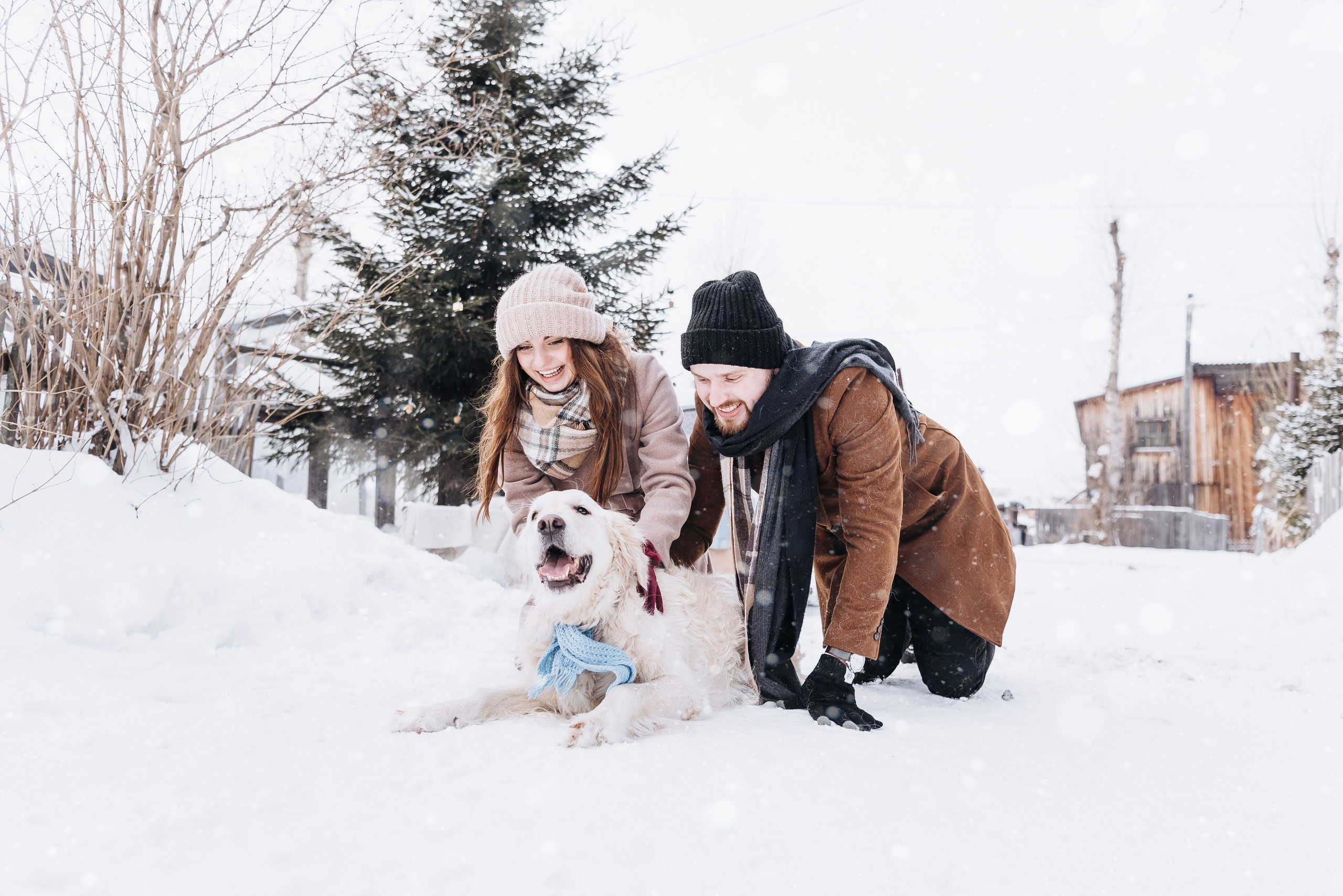 Холодный нос