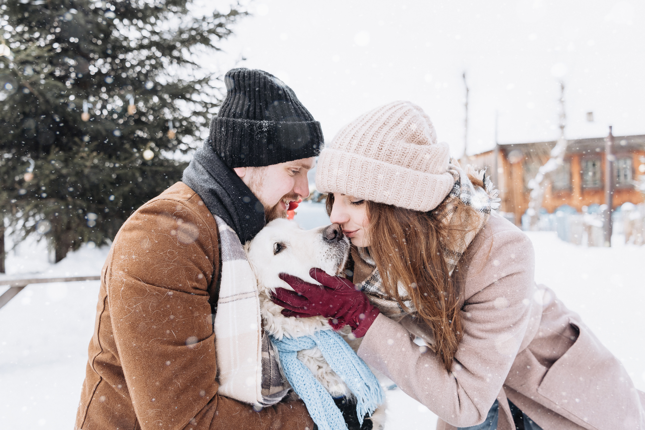 Холодный нос