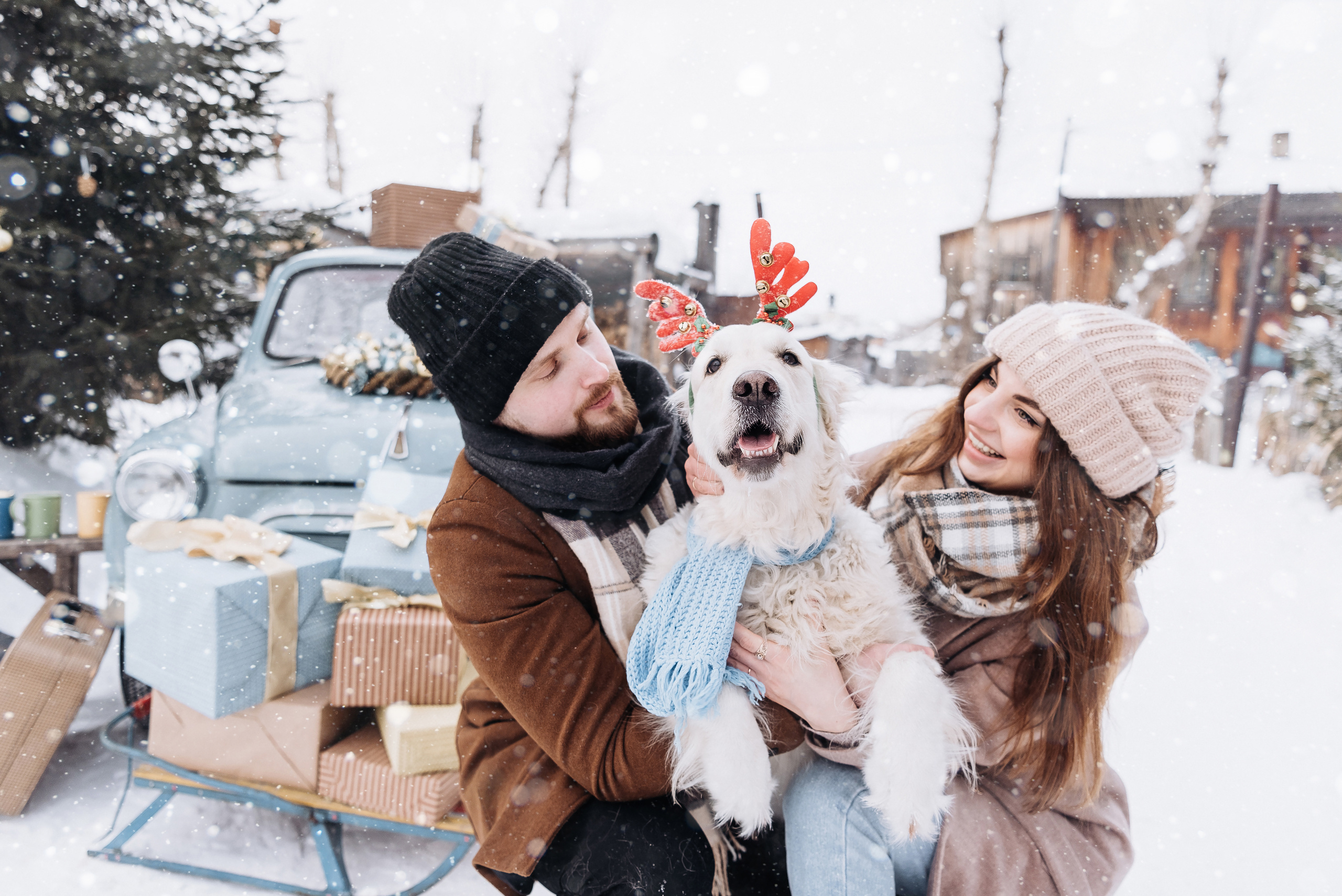 Холодный нос