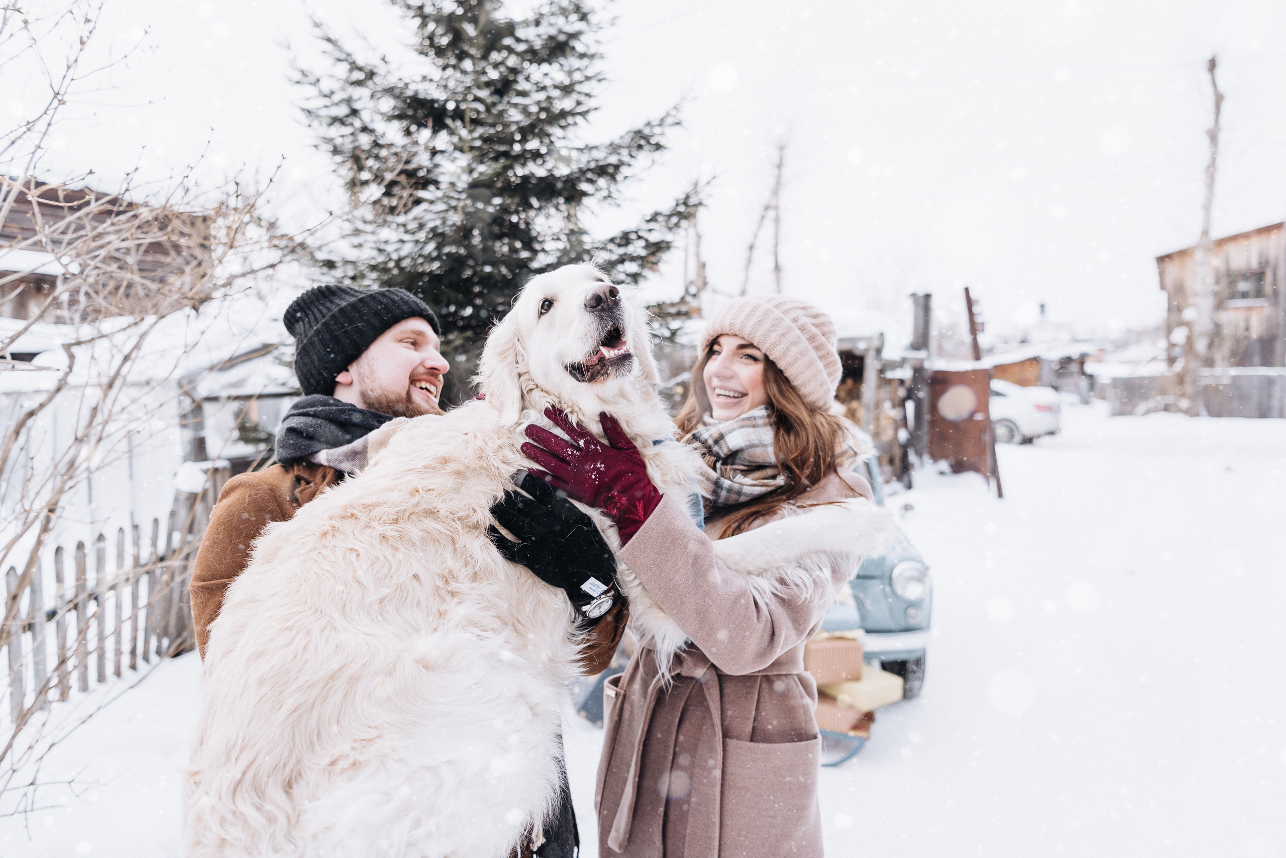 Холодный нос