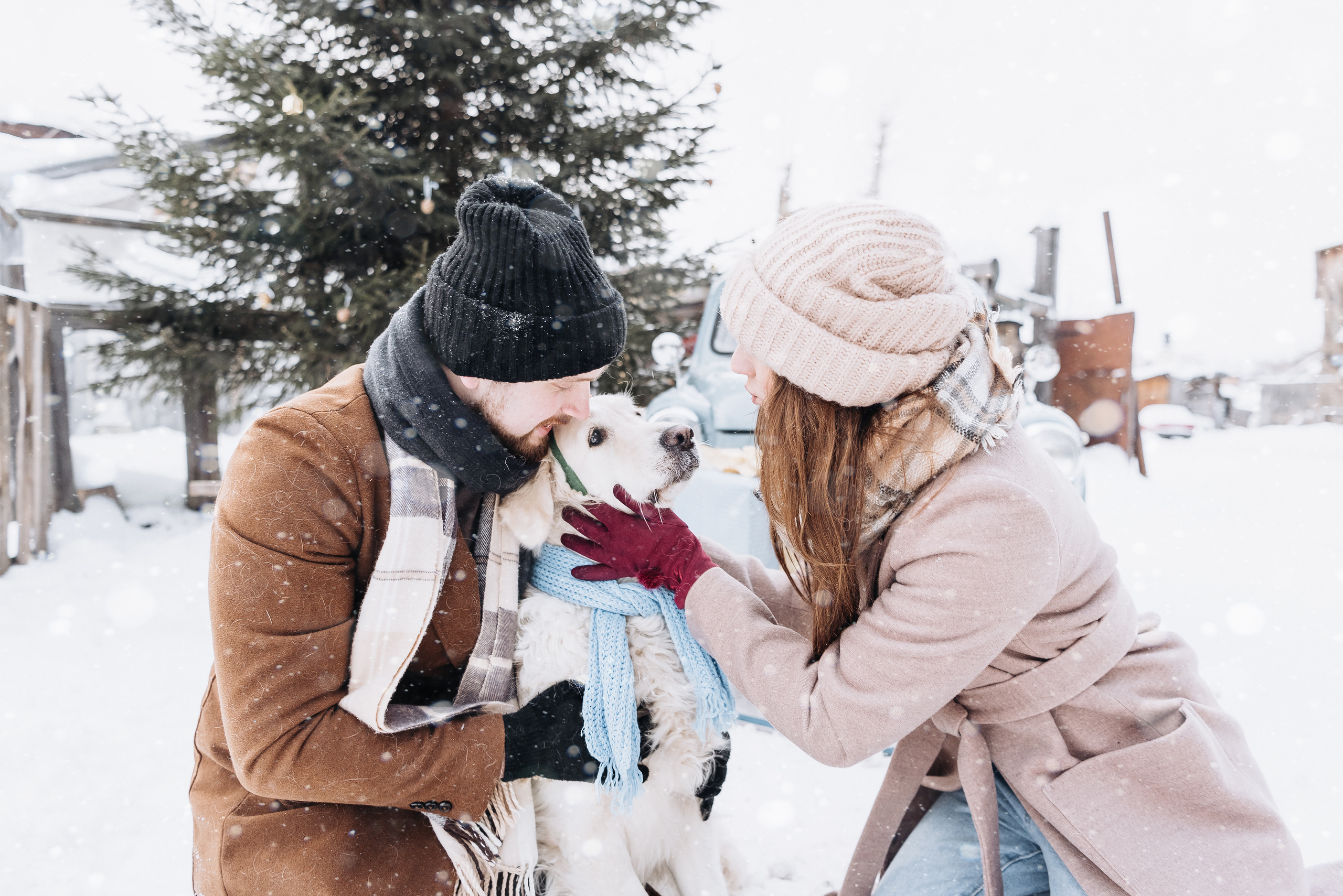 Холодный нос