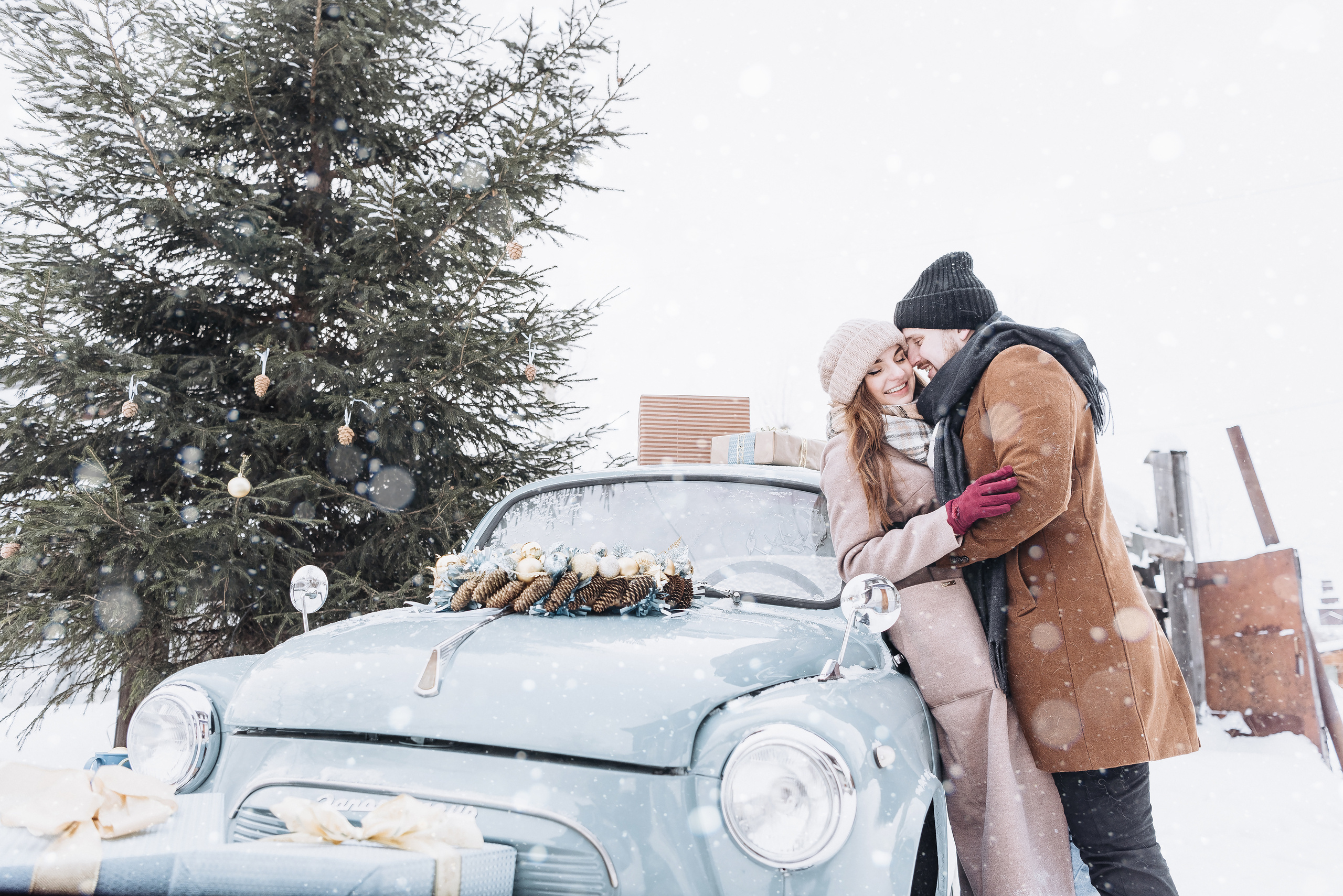 Холодный нос