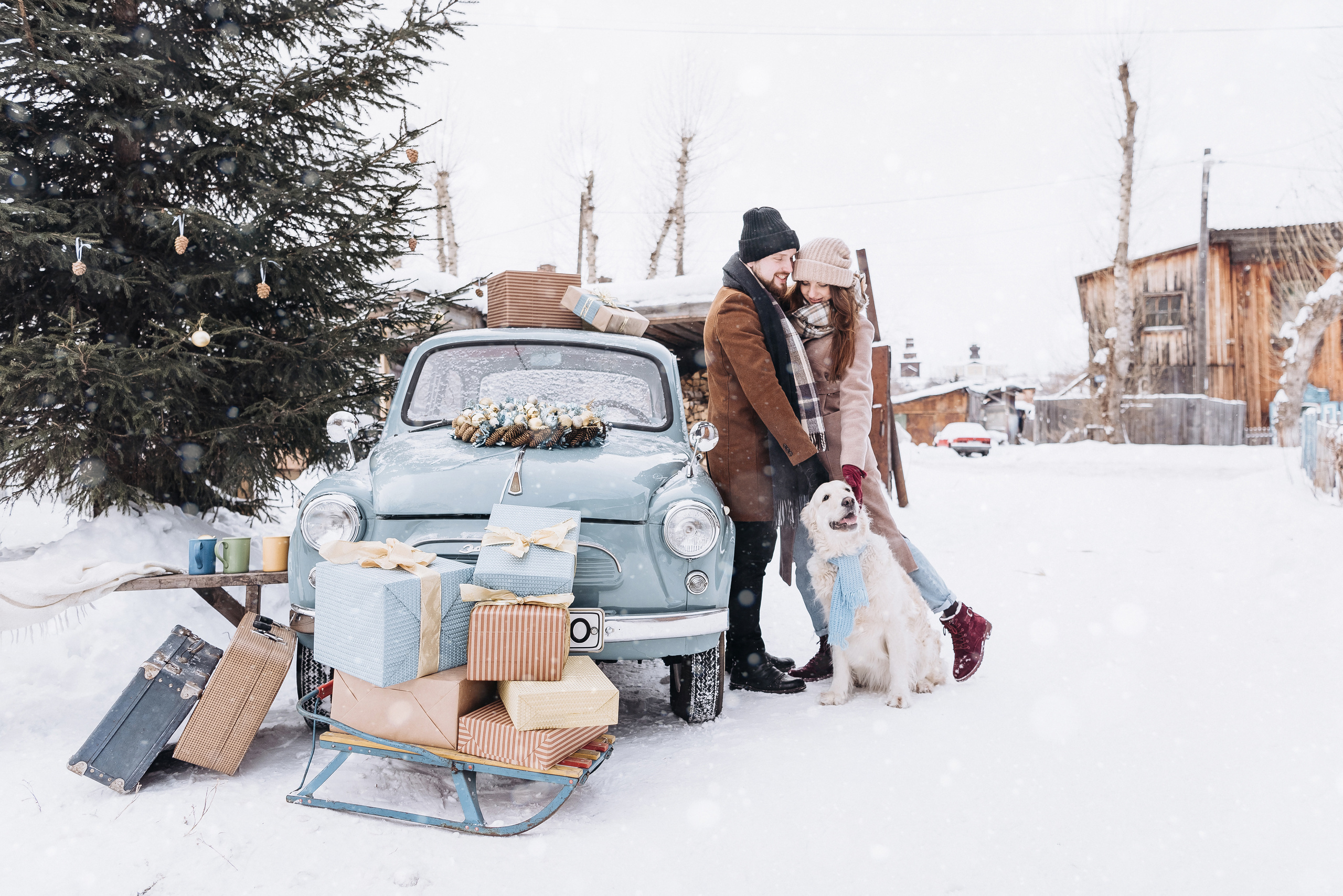 Холодный нос