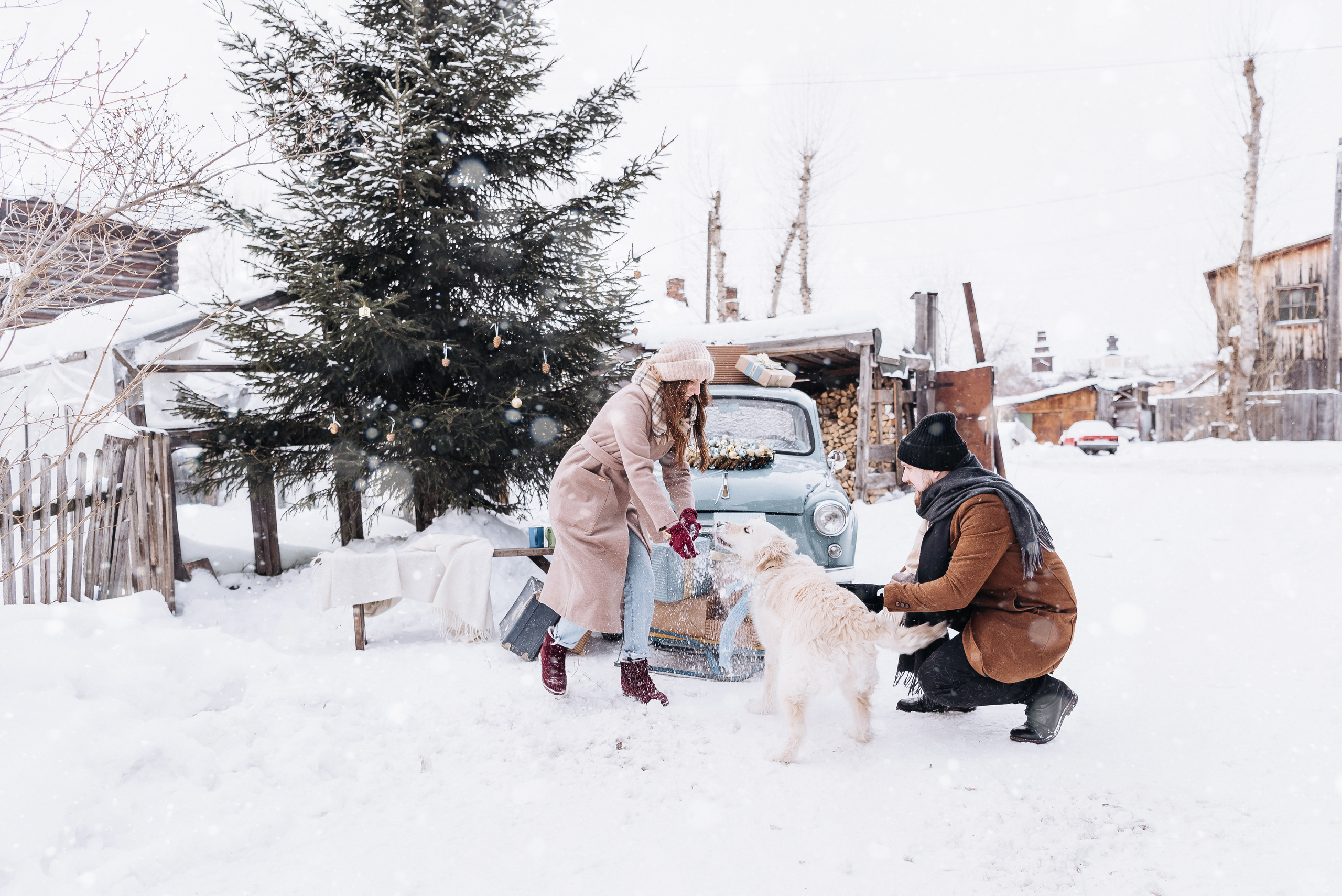 Холодный нос