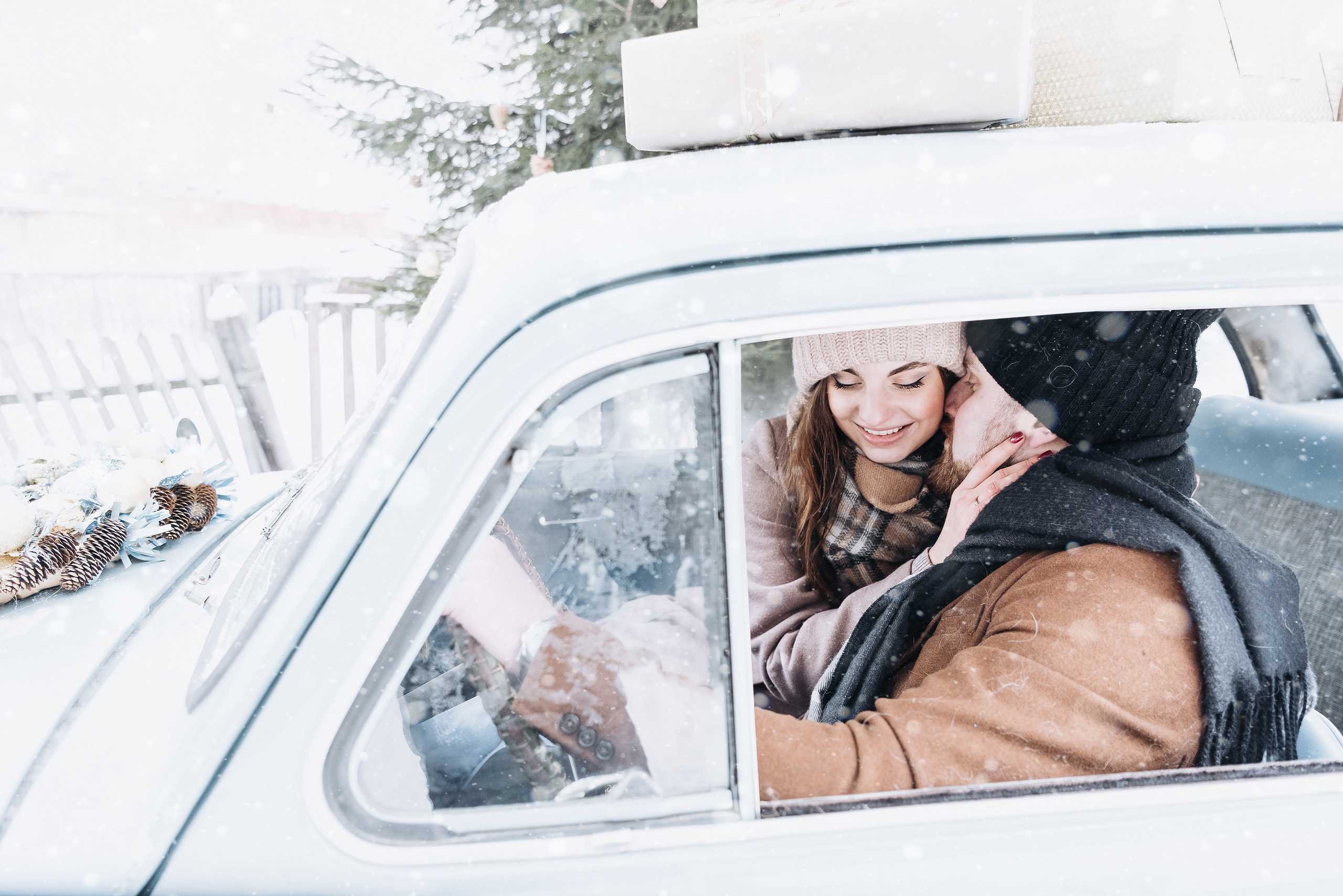 Холодный нос