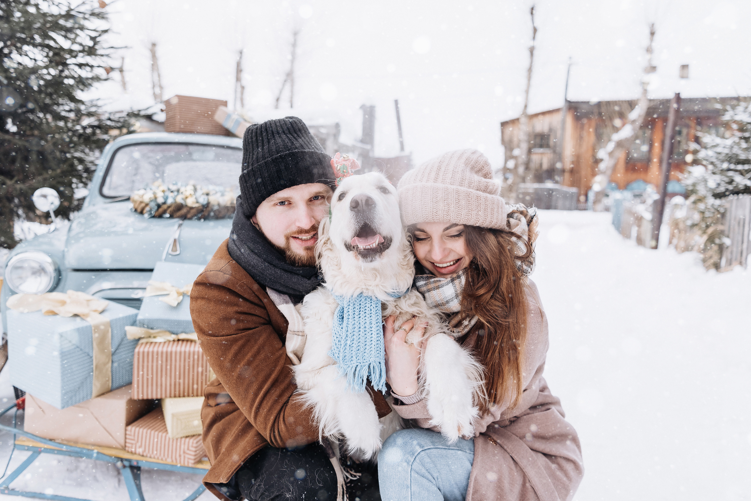 Холодный нос