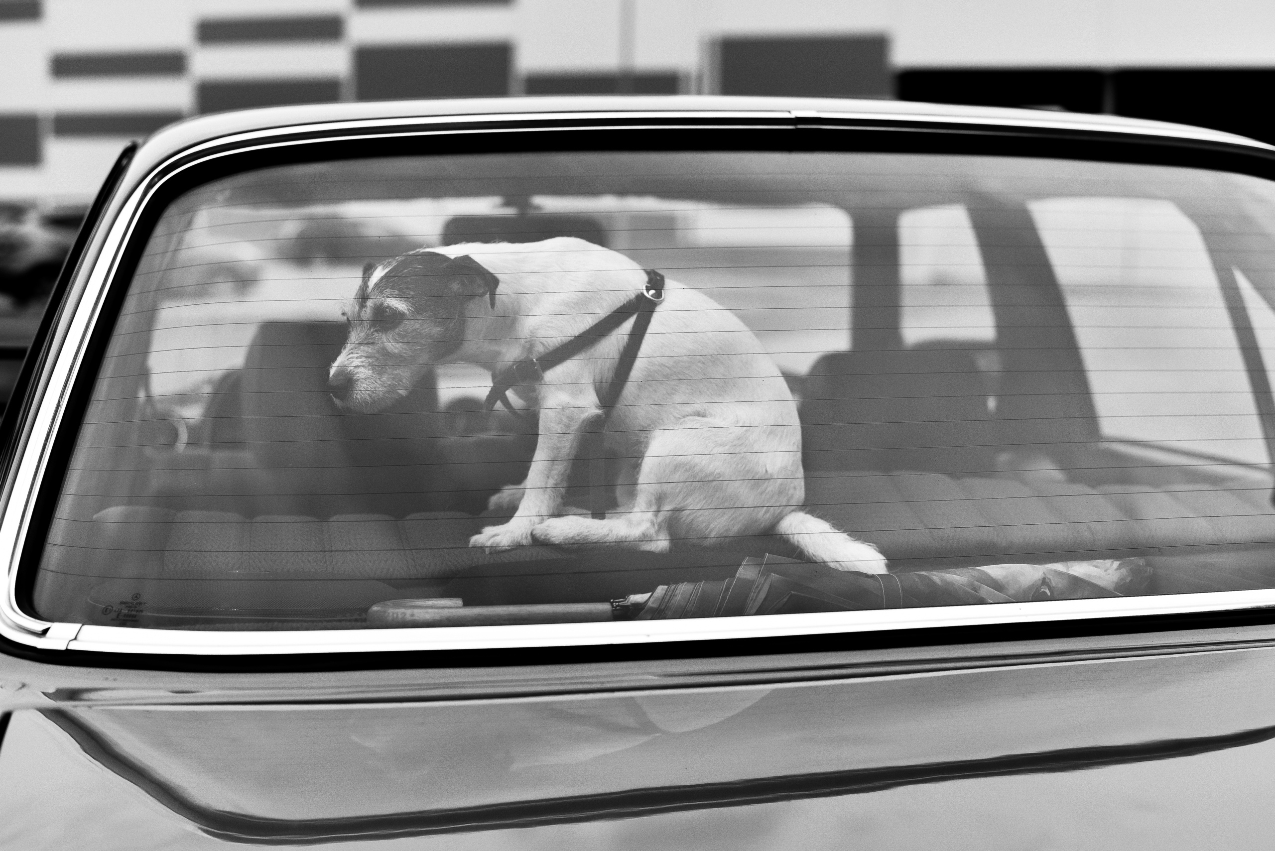 Непривычное Love story