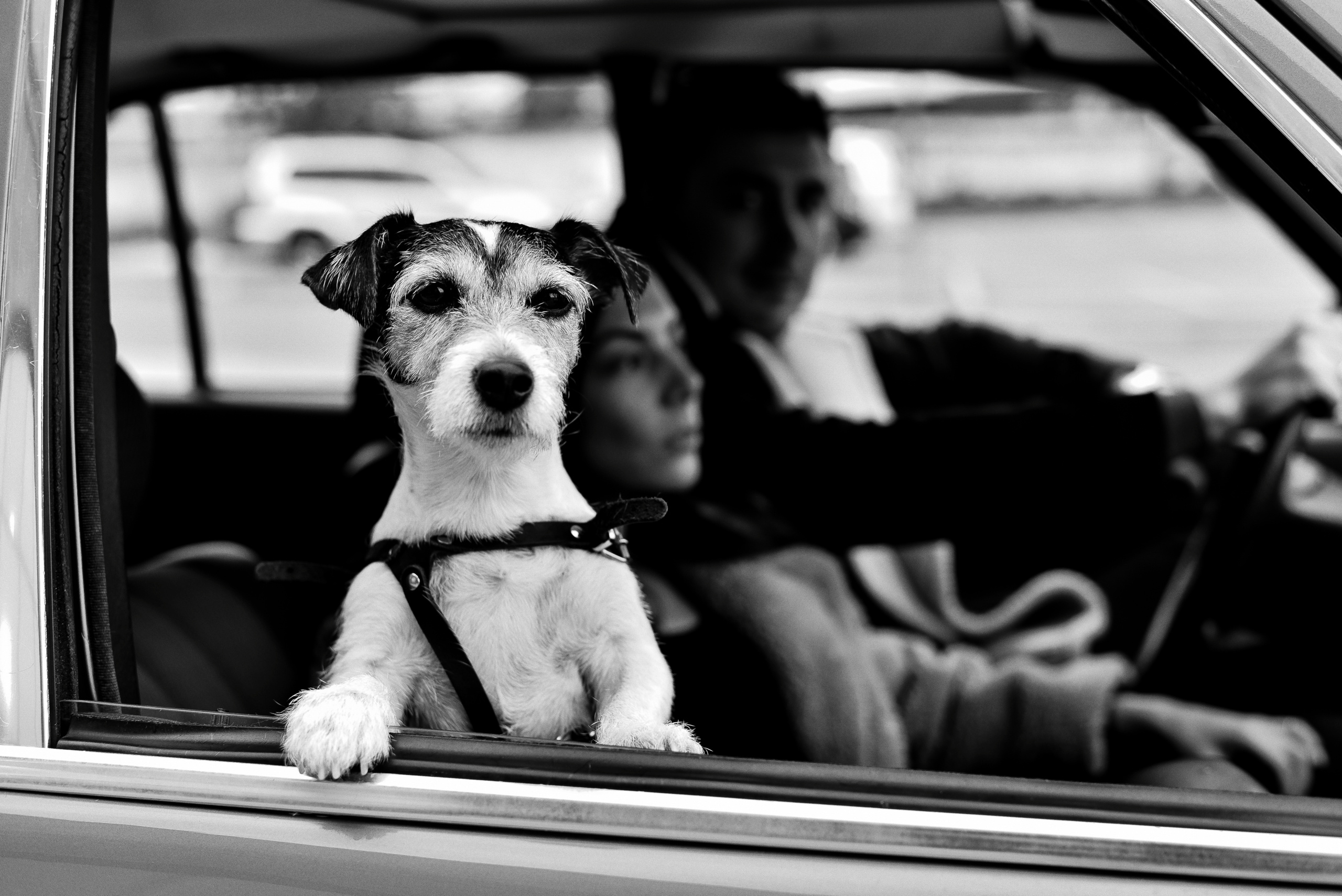 Непривычное Love story