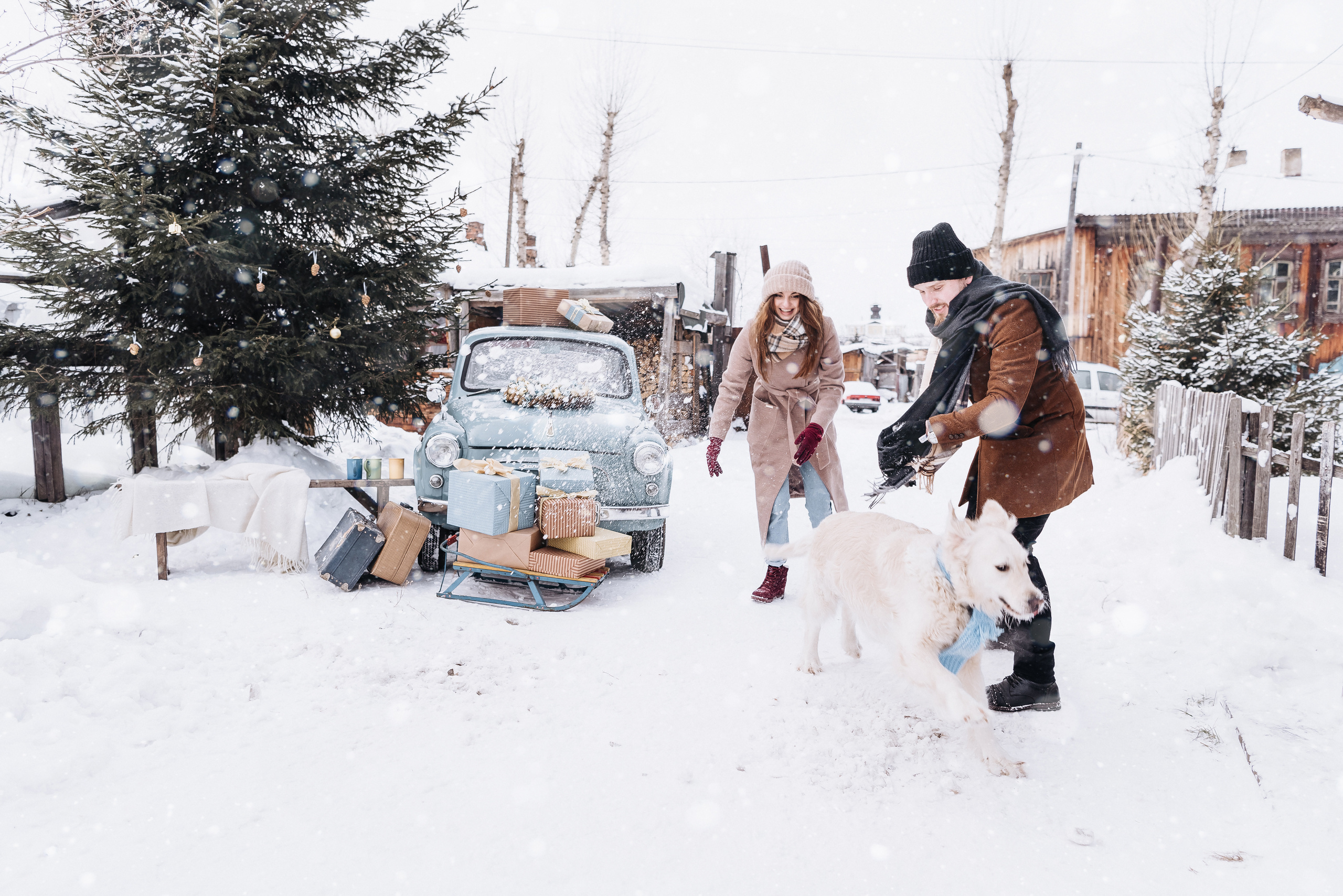 Холодный нос