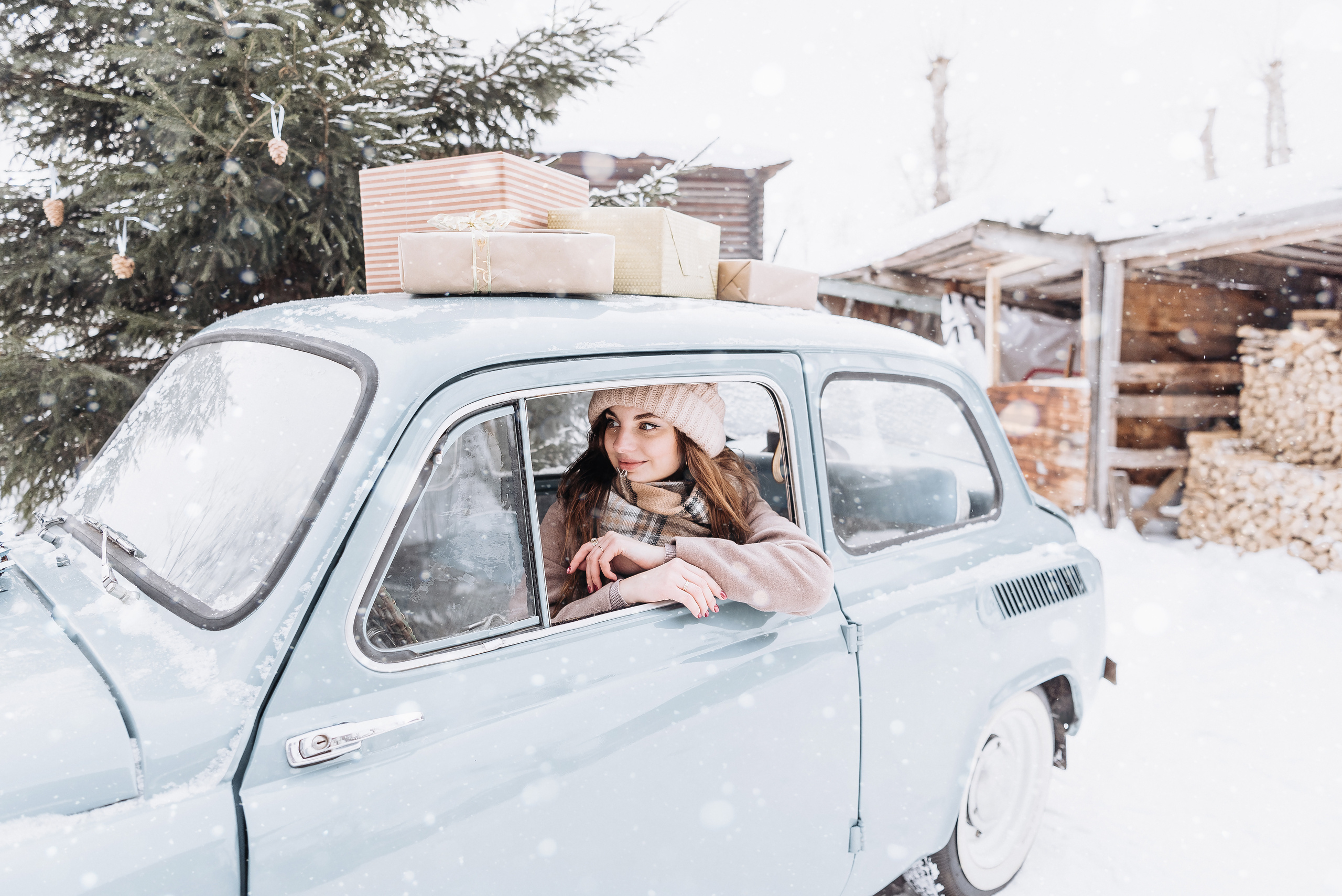 Холодный нос