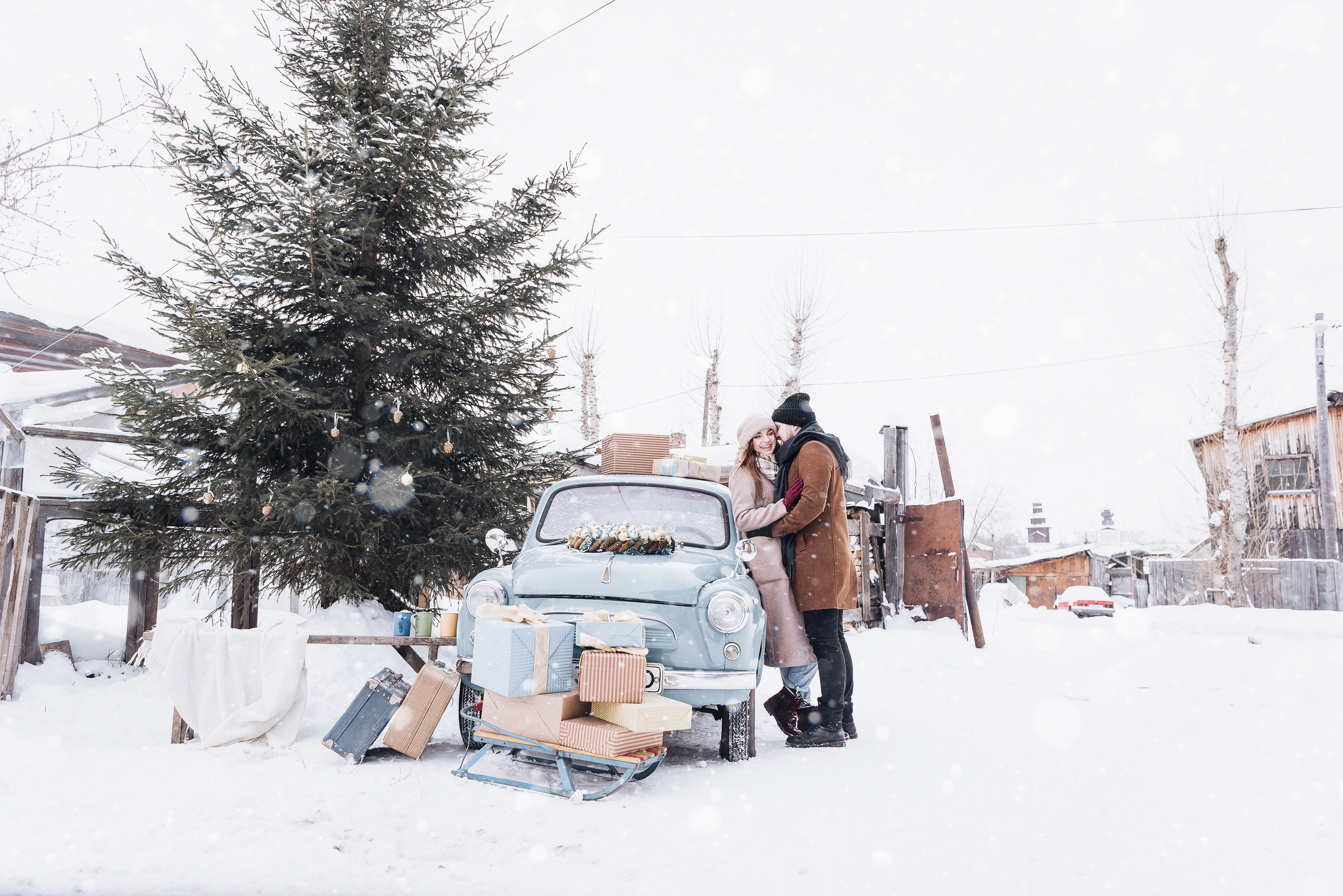 Холодный нос