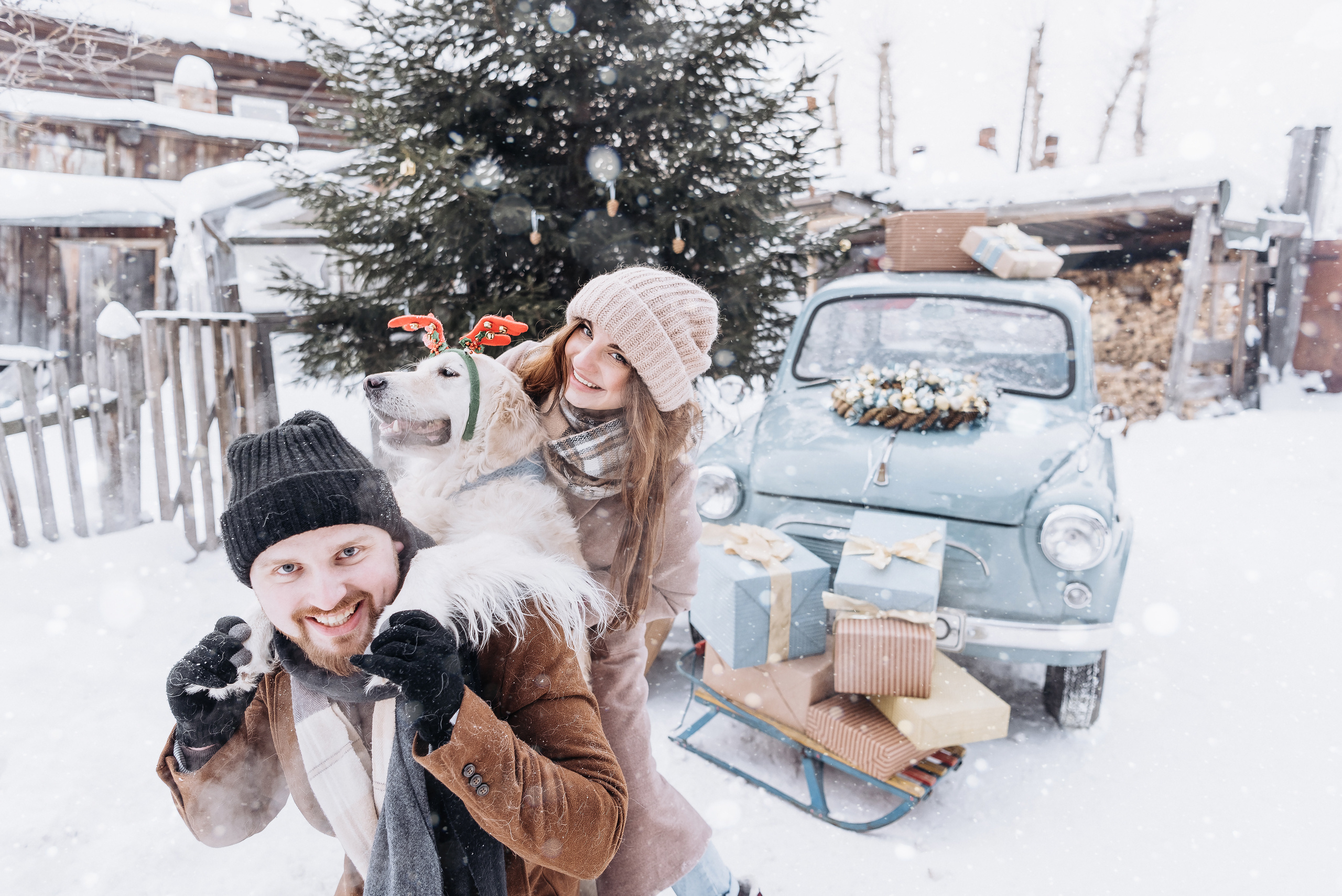 Холодный нос