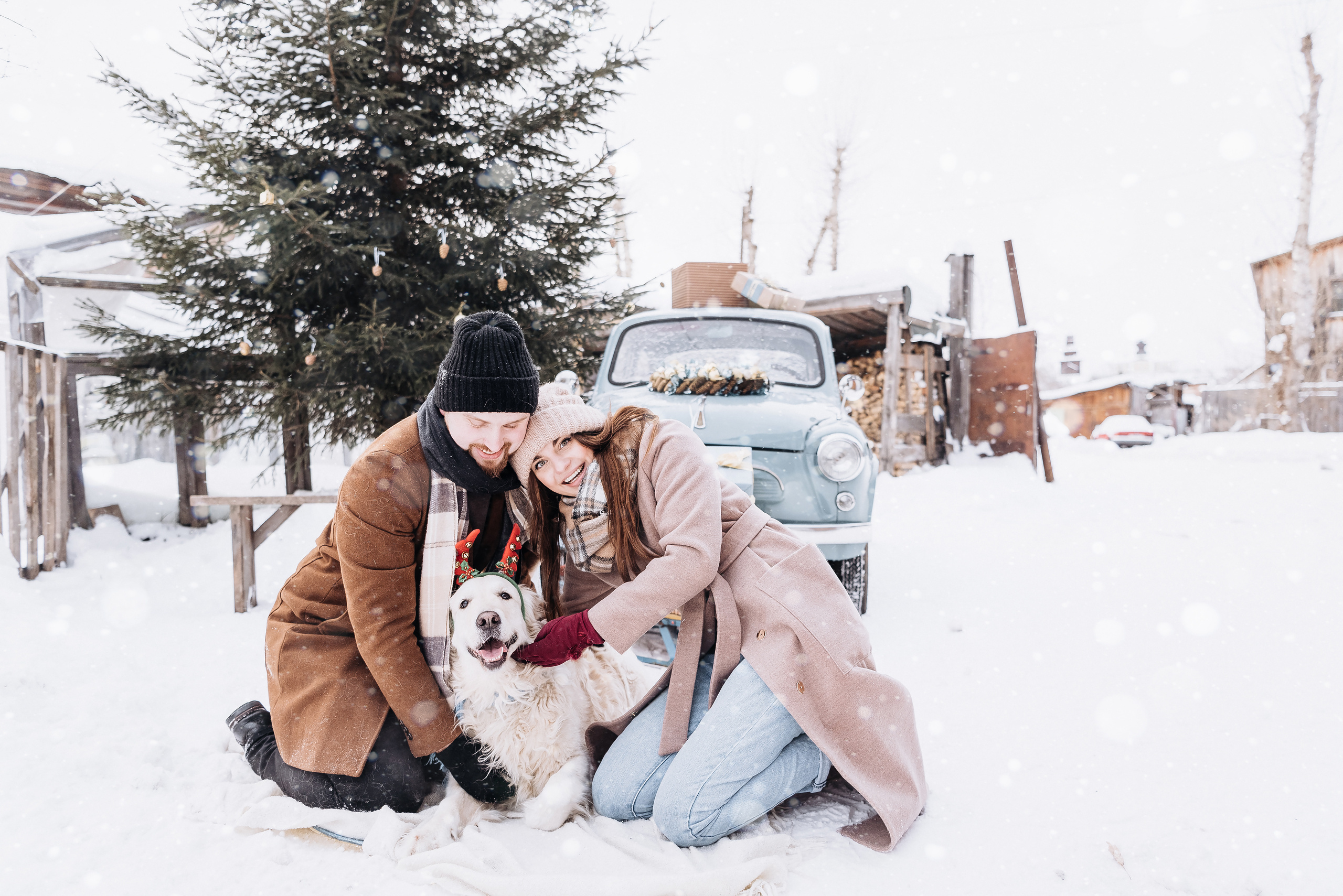 Холодный нос