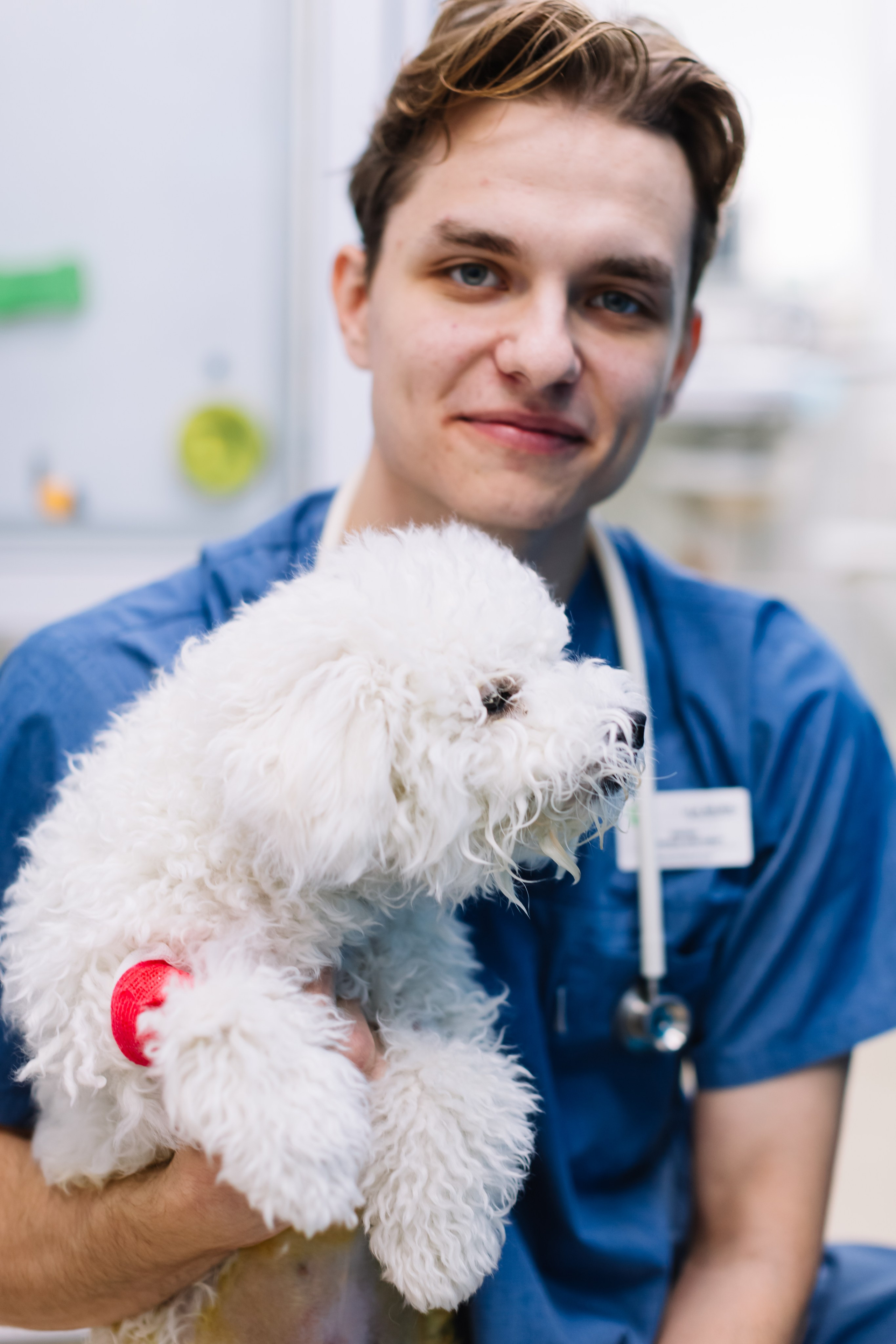 алёна малахова фотограф новосибирск семейный детский домашняя фотосессия в новосибирске день рождения репортажная съёмка фотосессия с лошадьми на конюшне деревня алтай  на природе фотосессия в детском саду мама и сын предложение руки и сердца идея  помолвка фотосессия берег закат детский день рождения годик торт аниматор лофт игровая продолжение следует prodoljenie_sleduet_  корпоратив тимбилдинг первоклашка линейка  контент  бизнес портрет оперный новат франция берет весна девушка