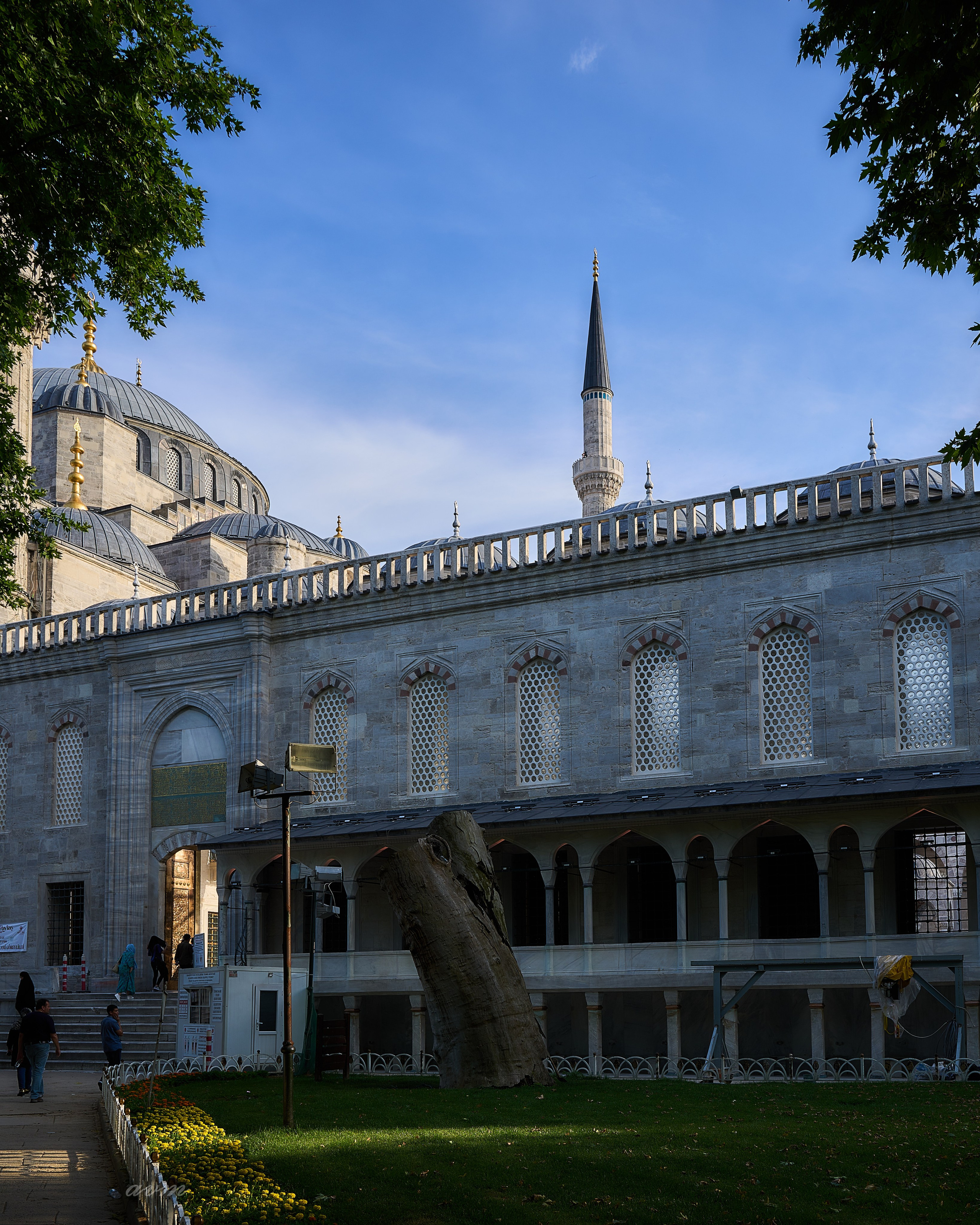 Стамбул 2023. Фотограф Михеев Андрей