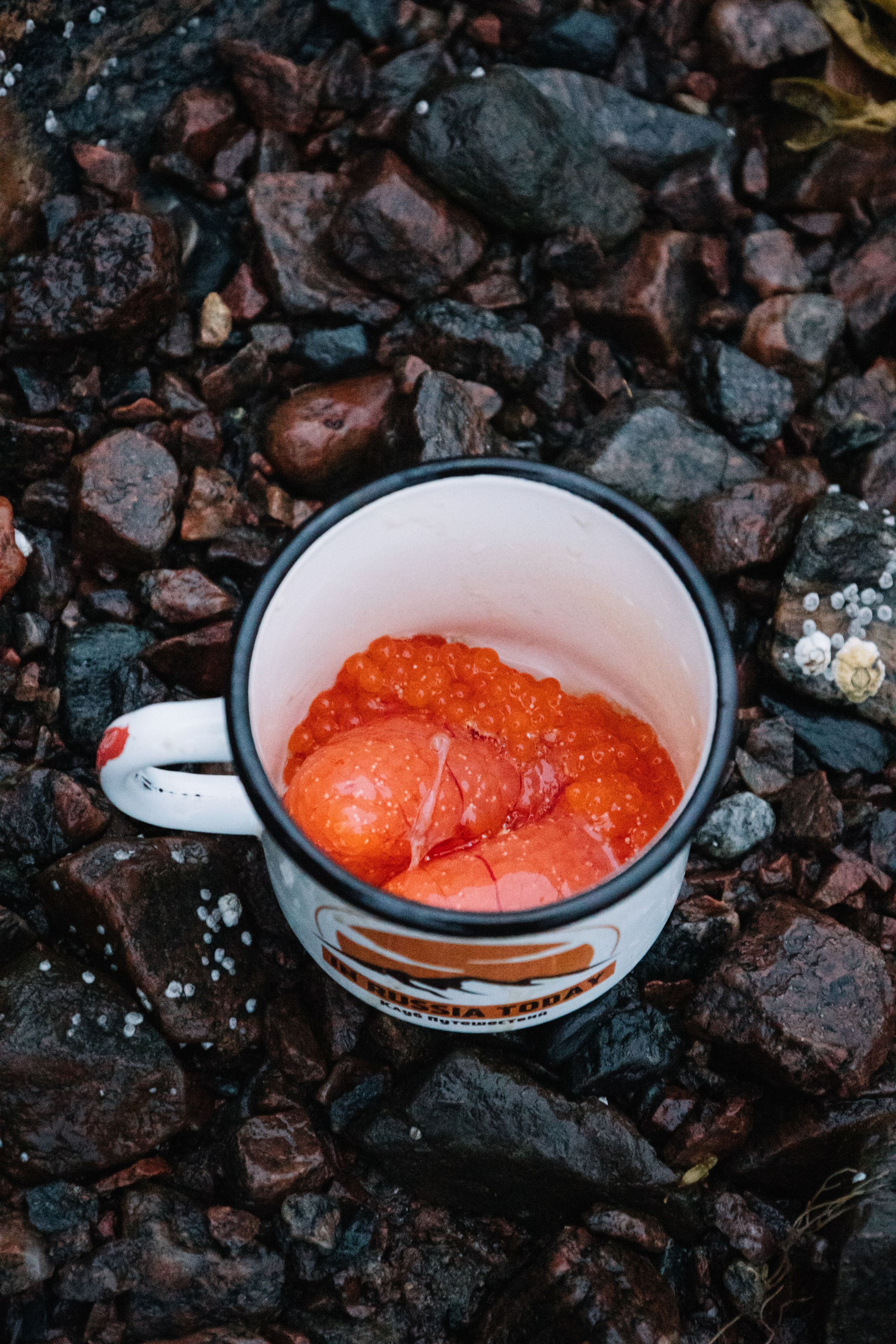 Спортивная фотосъемка, яхтинг, фотосъемка. Фотограф Ольга Че