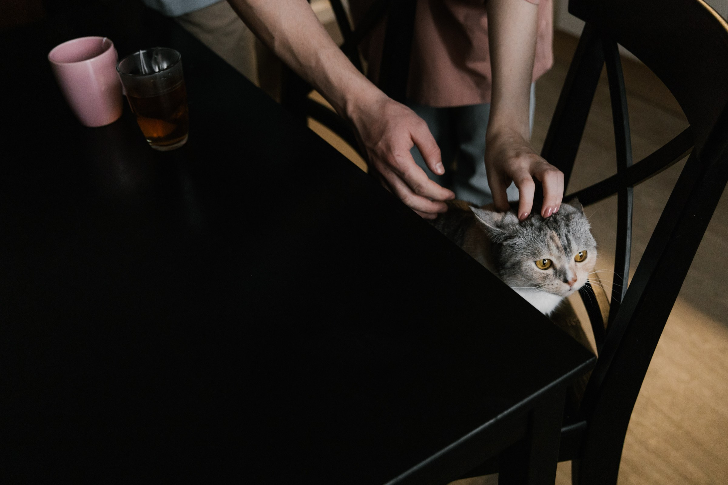 Домашний чилл. Свадебный фотограф Марьям Сайфулина г. Красноярск