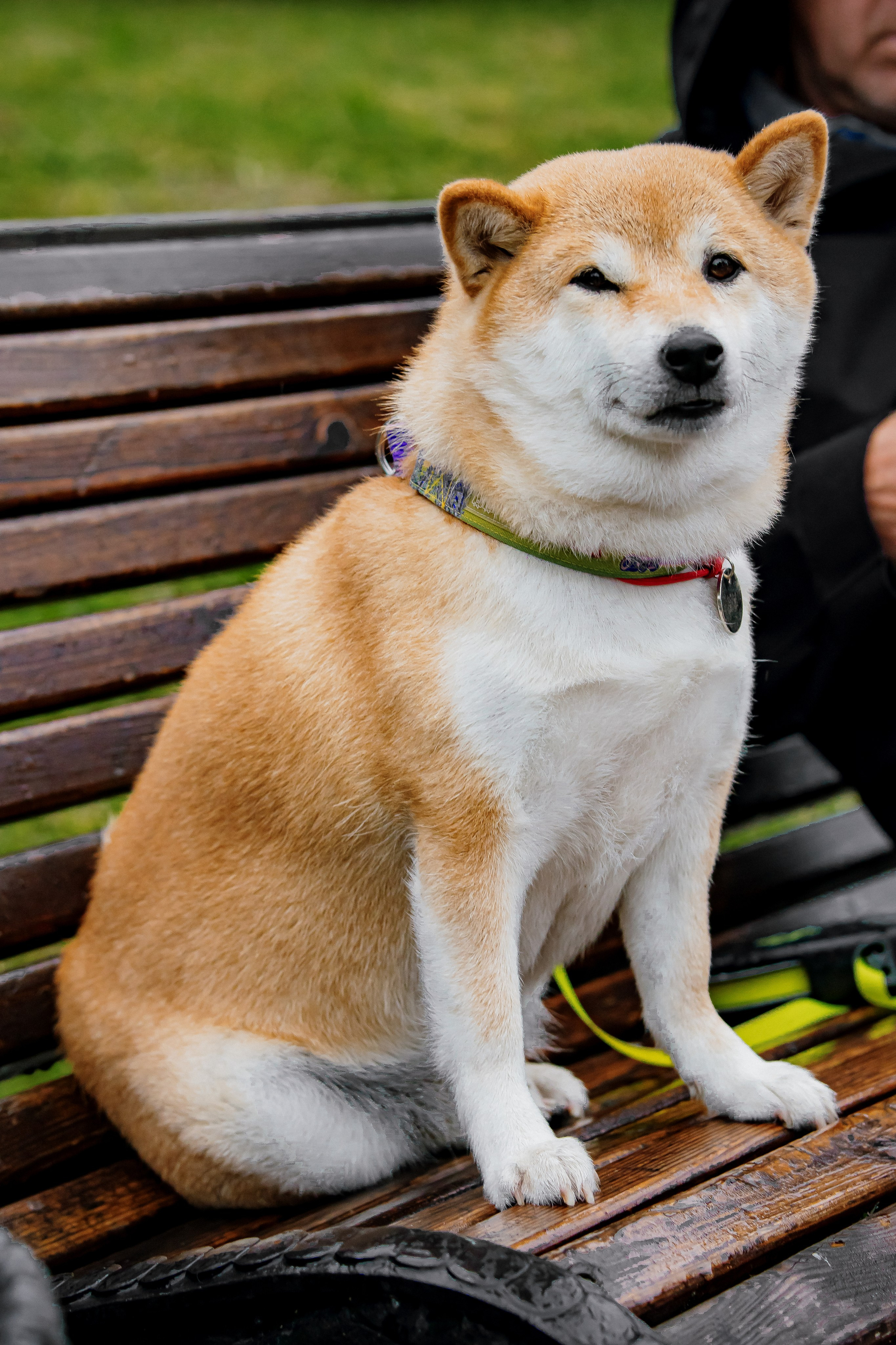 Ночь музыки Екатеринбург 07 / 2025. ФОТОГРАФ ЕКАТЕРИНБУРГ