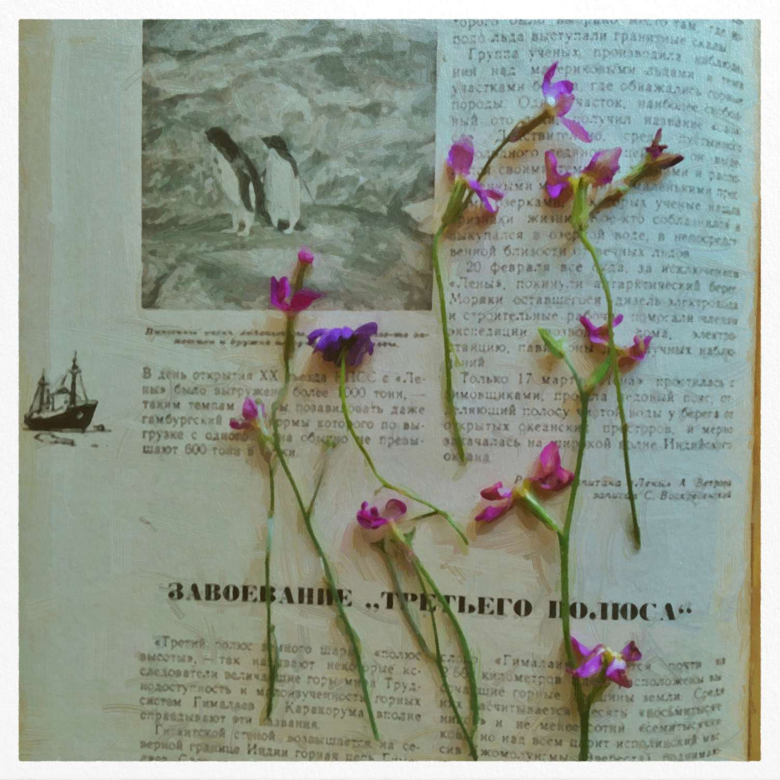 Юля Сидорова