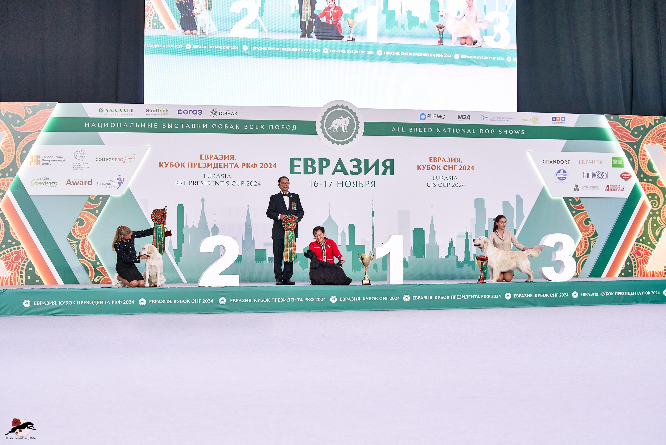 17.11.2024 «ЕВРАЗИЯ. КУБОК СНГ 2024»