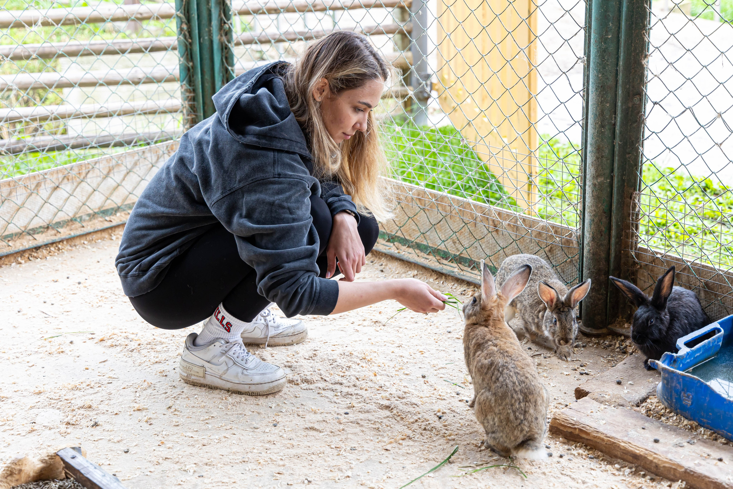 Тeam Building РОТЕКС. Фото и видео съемка Ваших мероприятий