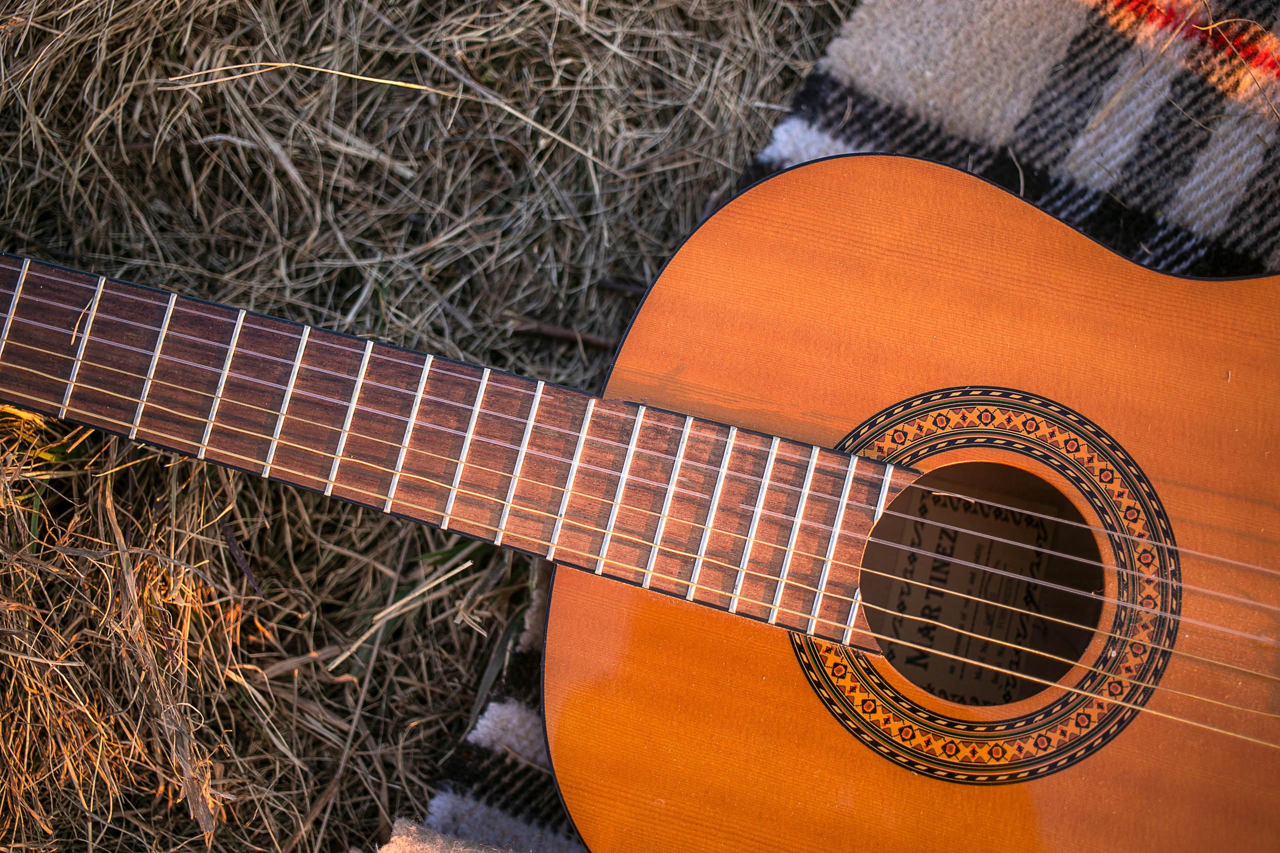 Прогулка в поле с лошадьми. Детский и семейный фотограф Муксимова Ирина