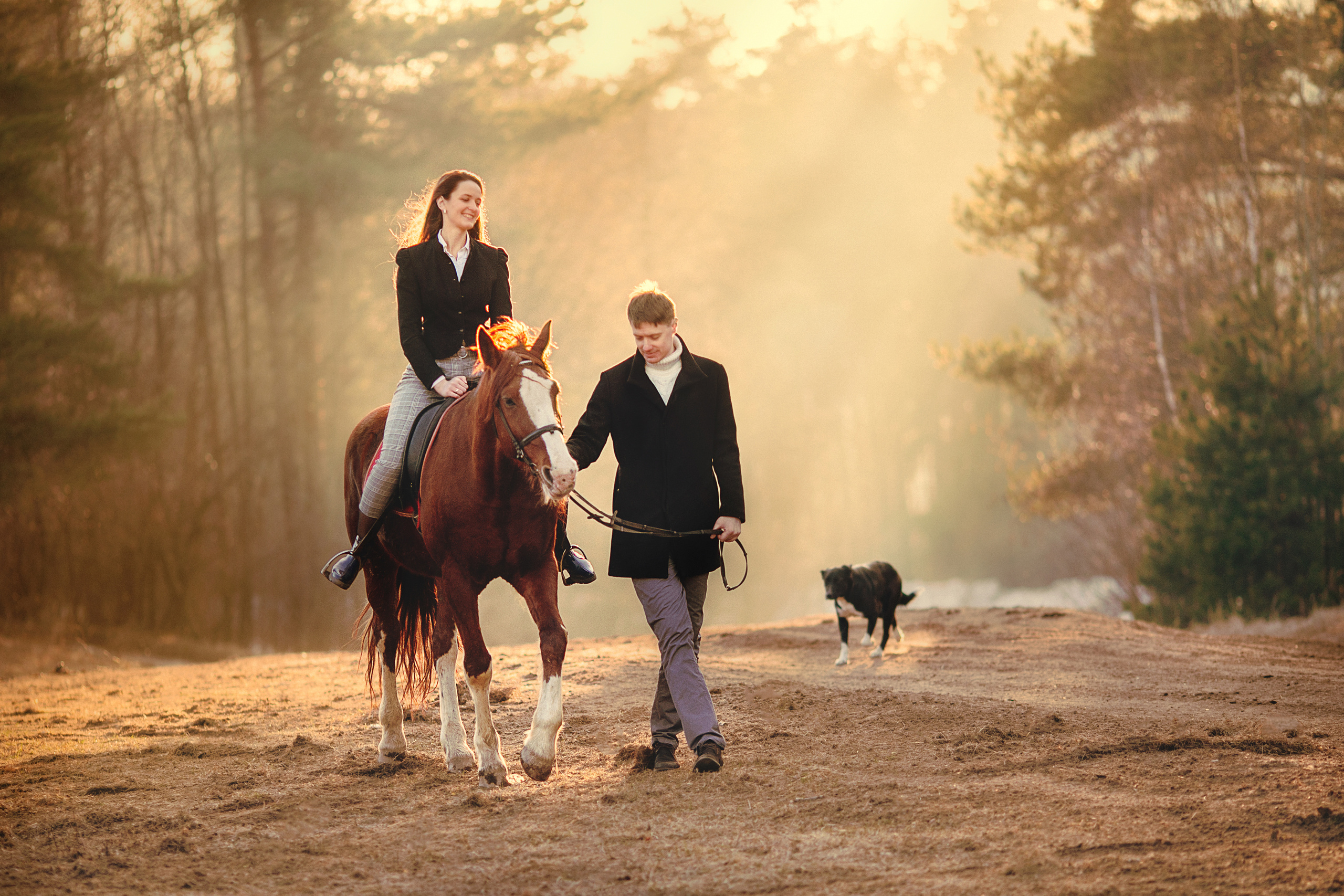 Прогулка в поле с лошадьми. Детский и семейный фотограф Муксимова Ирина