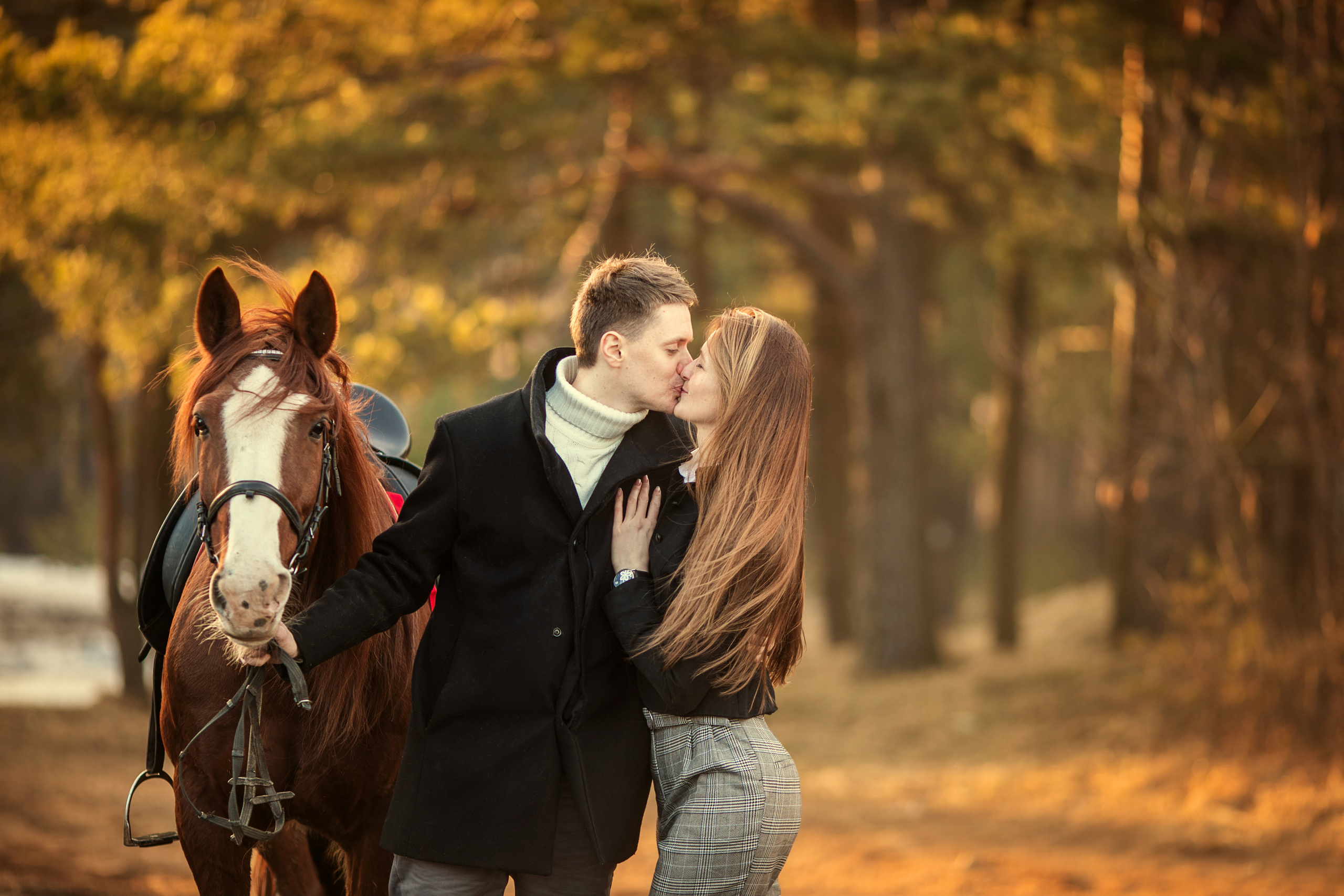 Прогулка в поле с лошадьми. Детский и семейный фотограф Муксимова Ирина