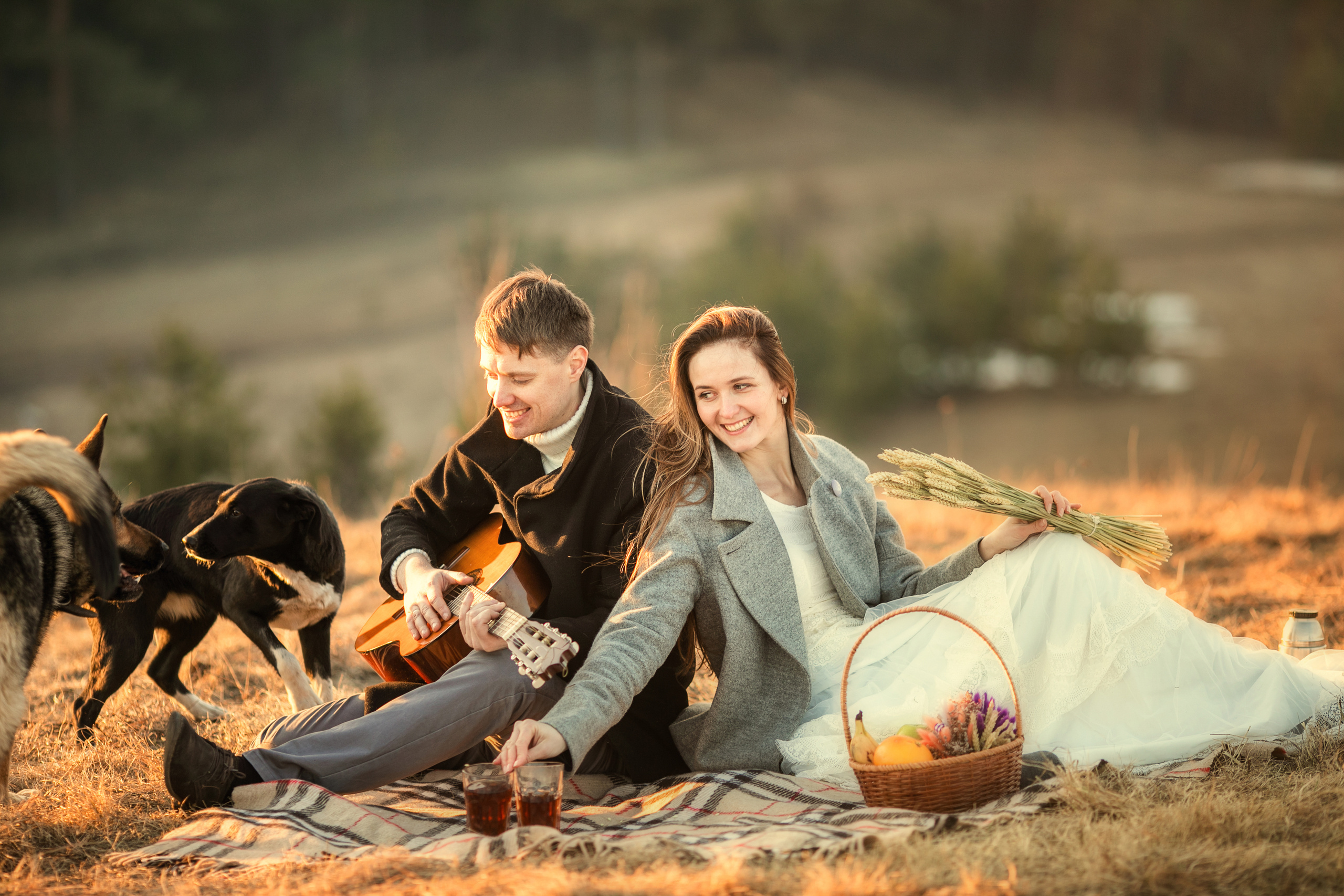 Прогулка в поле с лошадьми. Детский и семейный фотограф Муксимова Ирина