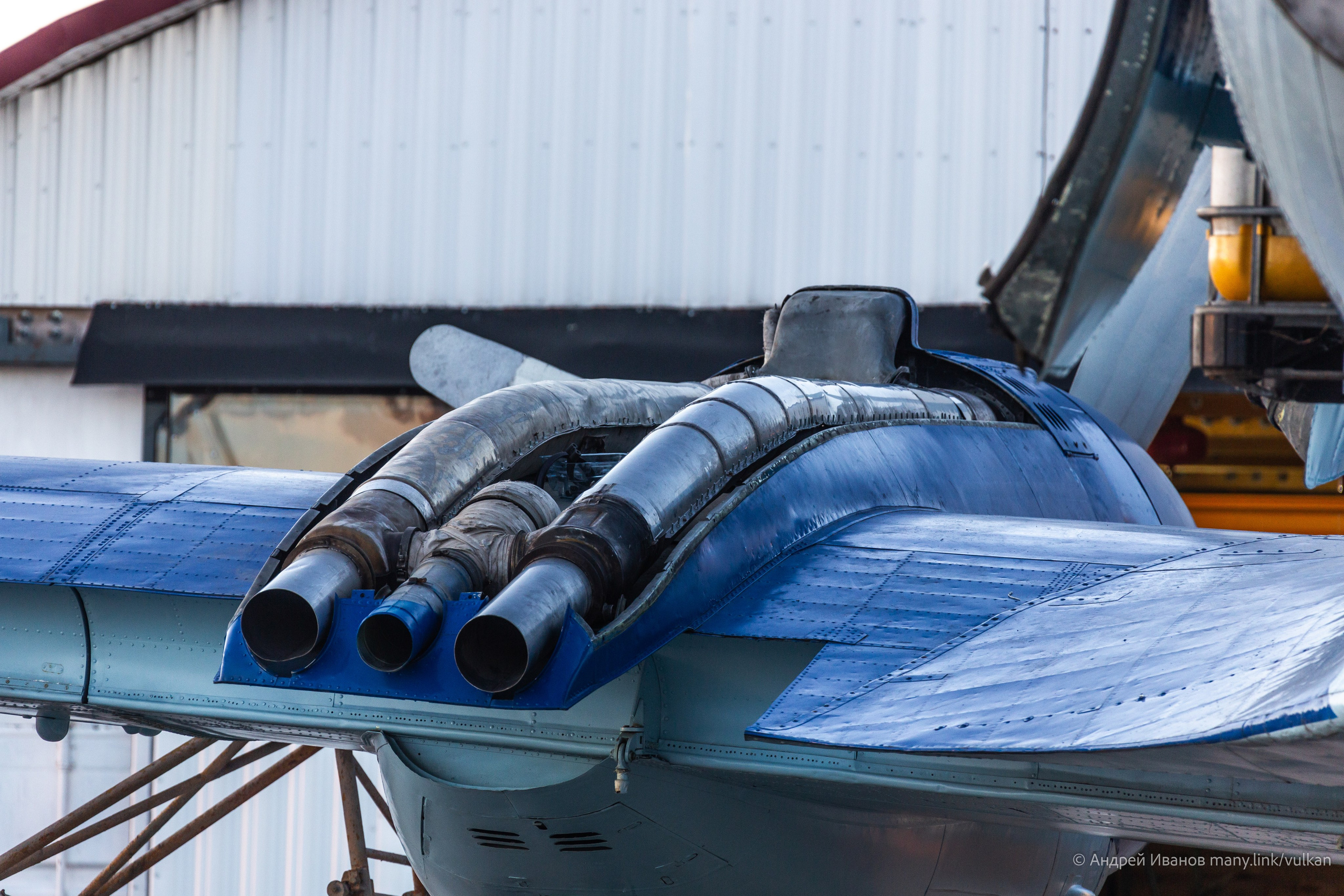 Ил-14Т «Голубая Мечта» (2026 г.). Фотоальбом показывающий увлекательный мир авиации и мир медведей Андрея Иванова