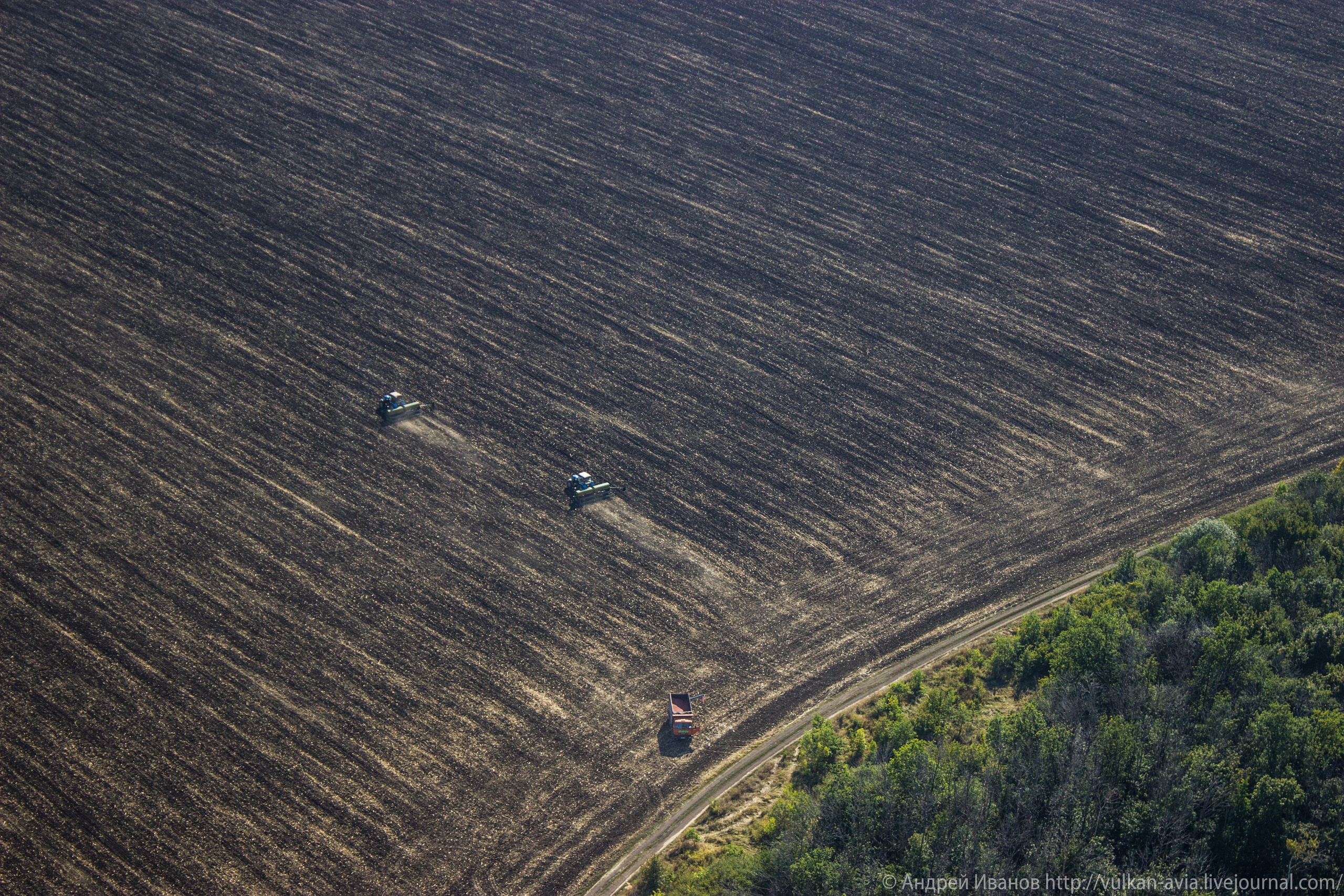 Волгодонск аэр. Потапов слёт «Небо для всех» (2021 г.). Фотоальбом показывающий увлекательный мир авиации и мир медведей Андрея Иванова