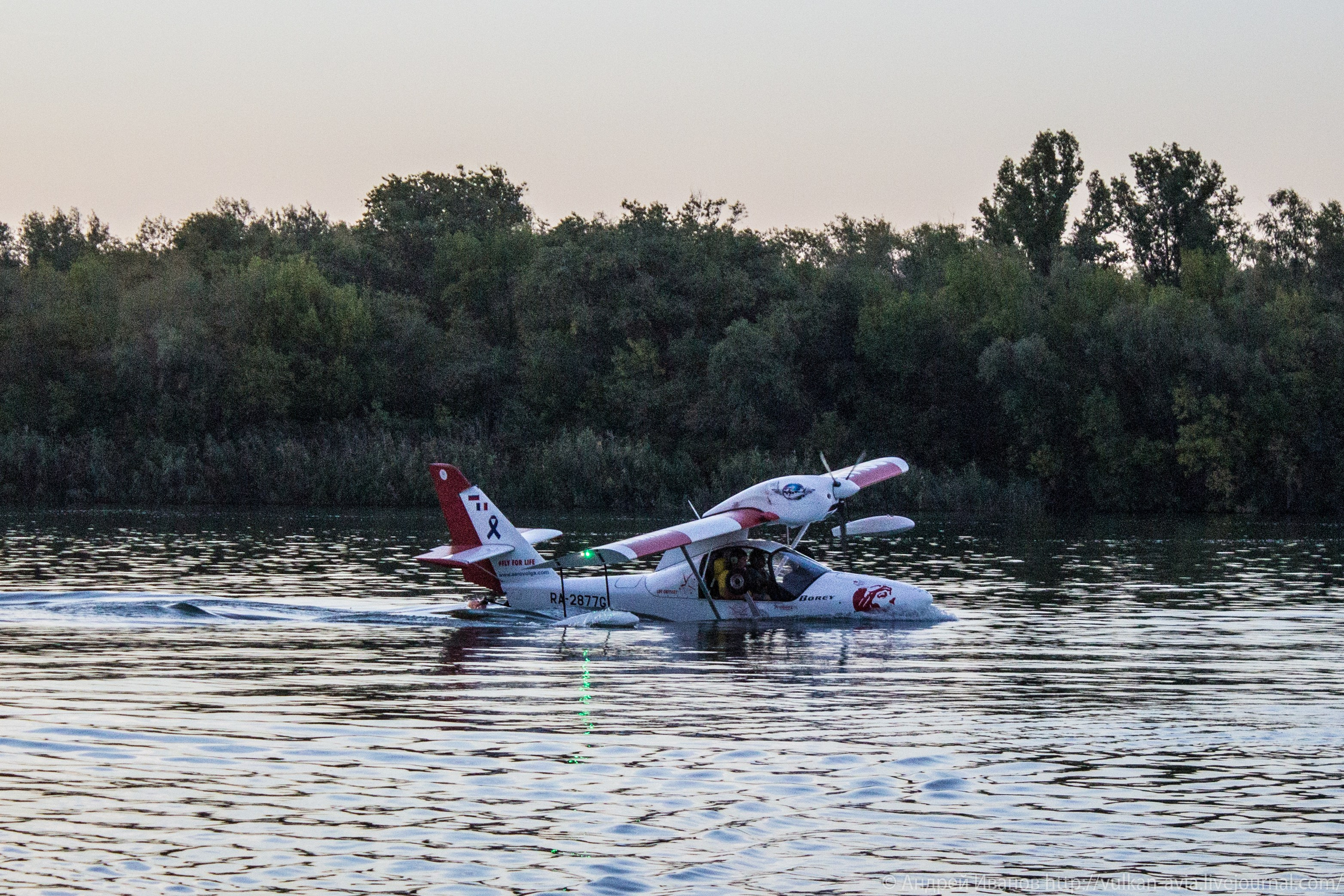 Волгодонск аэр. Потапов слёт «Небо для всех» (2021 г.). Фотоальбом показывающий увлекательный мир авиации и мир медведей Андрея Иванова