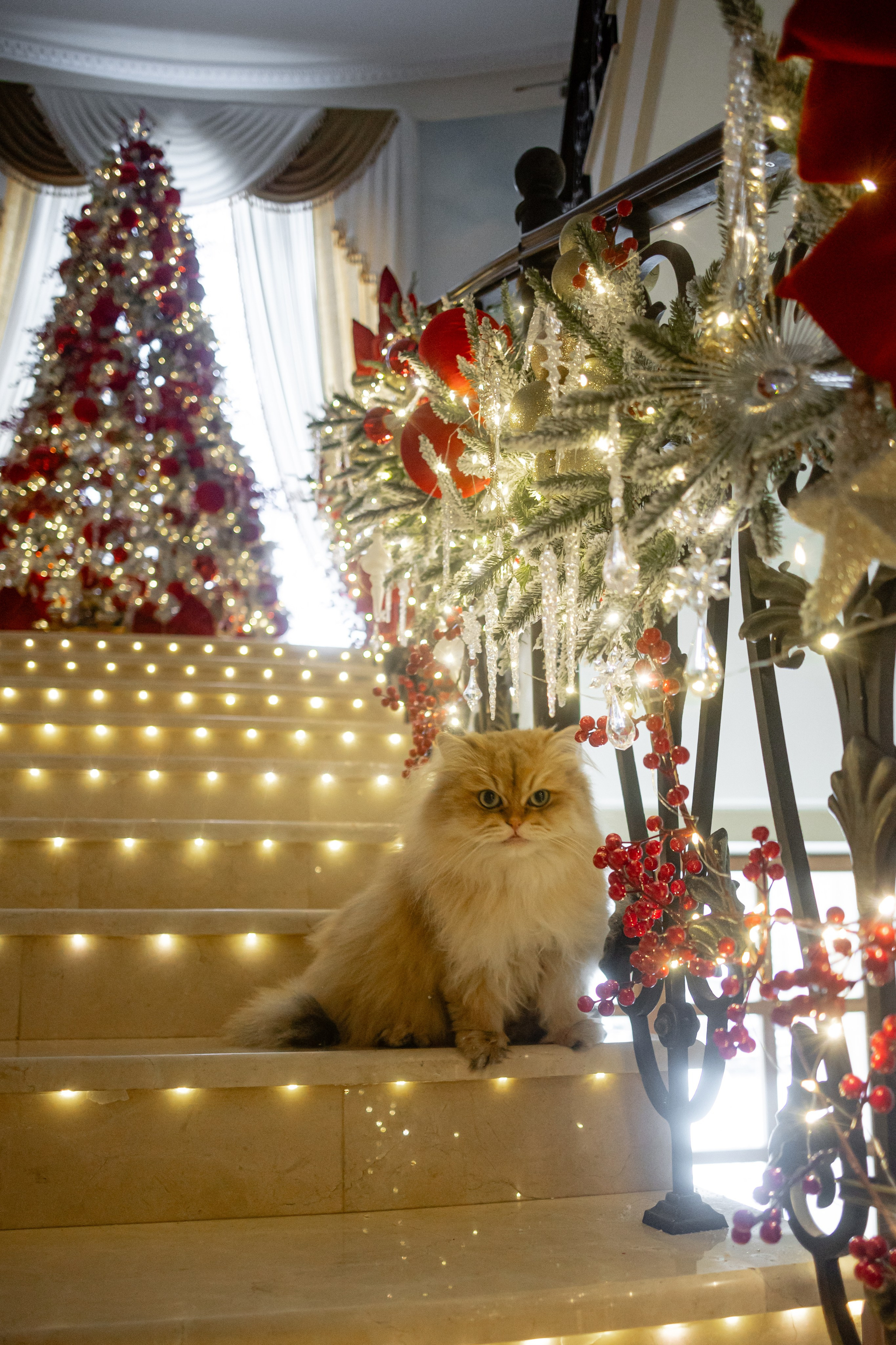 Волочкова. Студия декора Подзюм