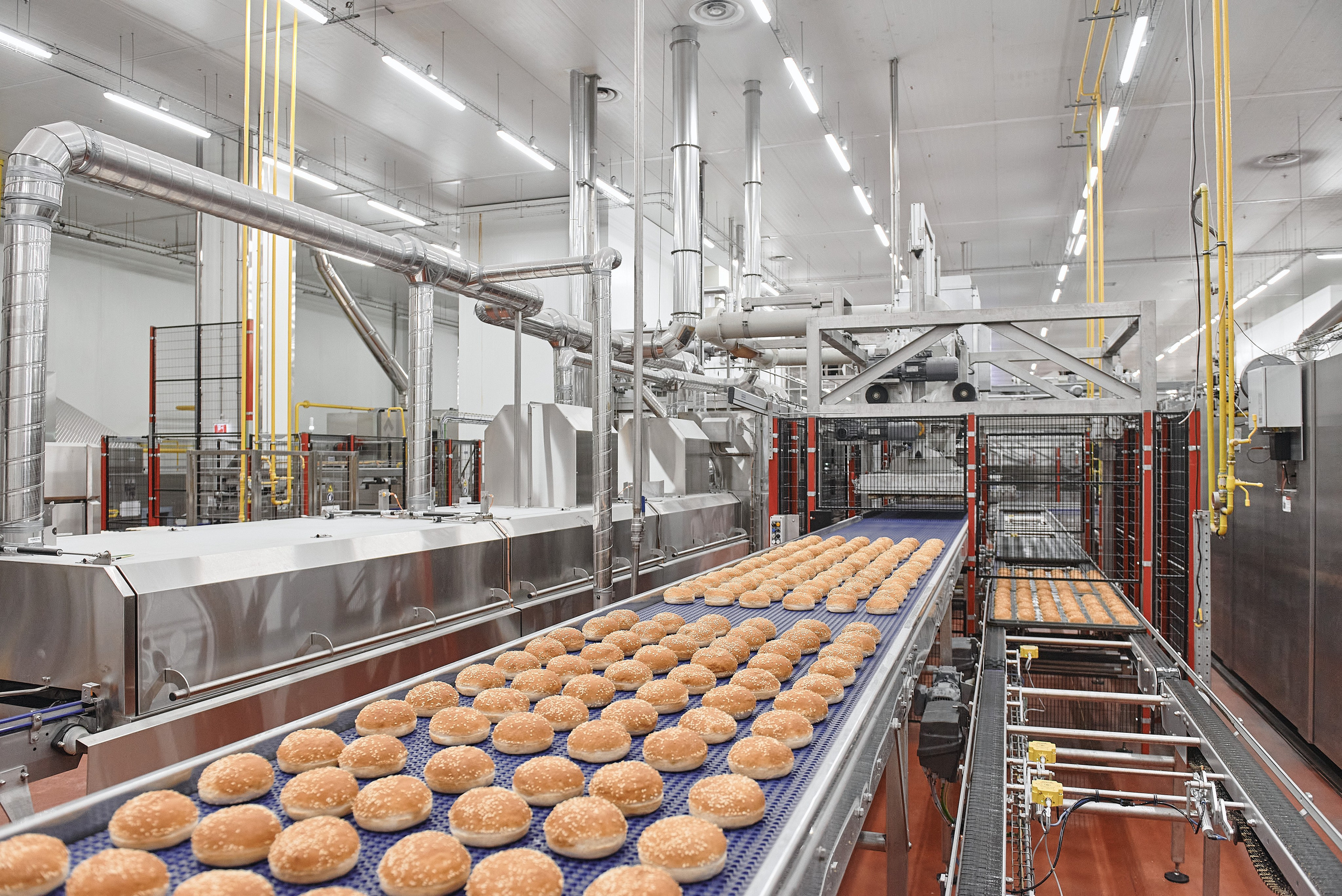 Фотограф на мероприятие. Light Media — креативный видеопродакшн