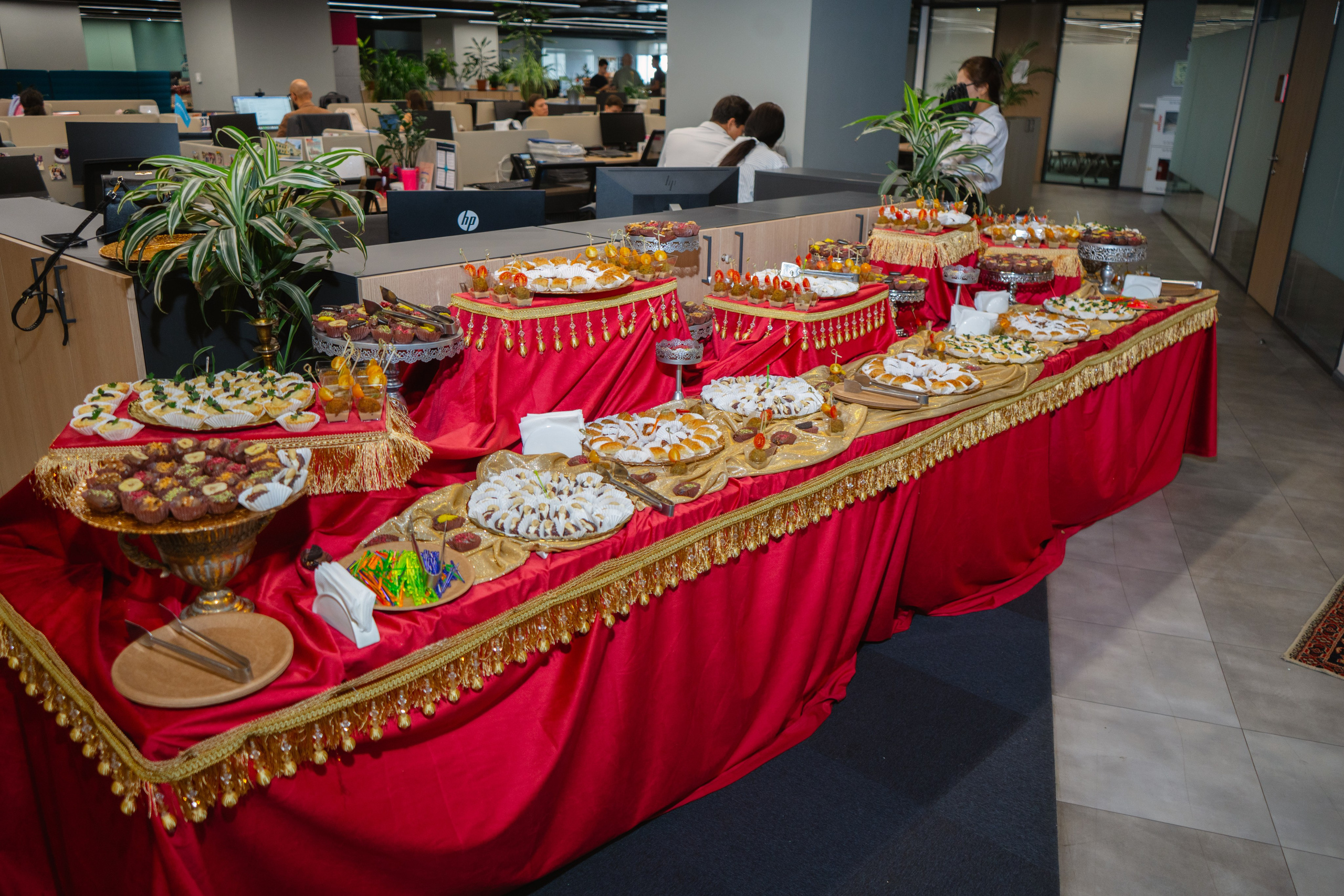 OZAT. Профессиональная съемка в Алматы