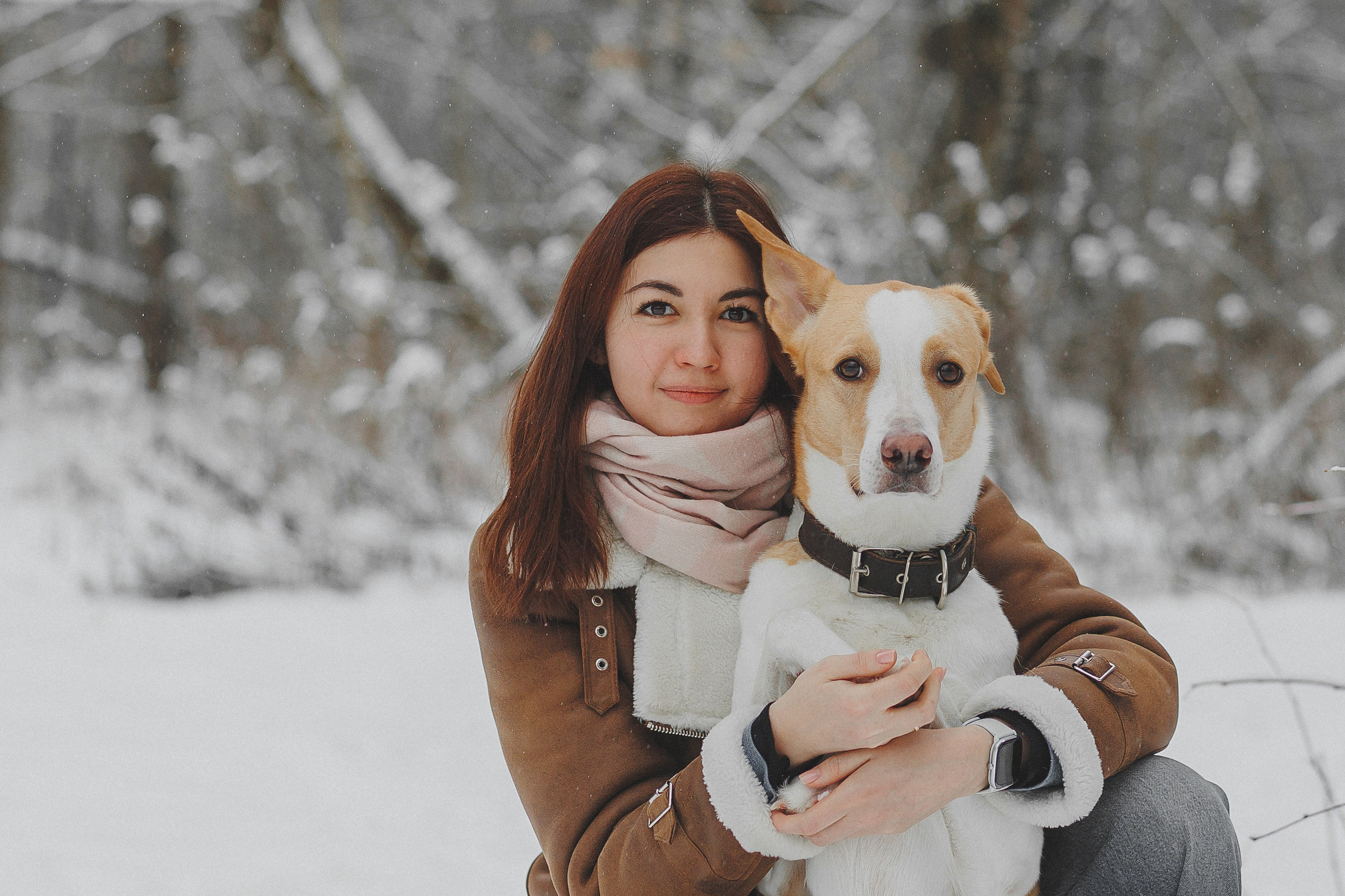 Зимняя фотосессия в лесу с собакой. Фотограф в Москве и Люберцах Анна Ушакова