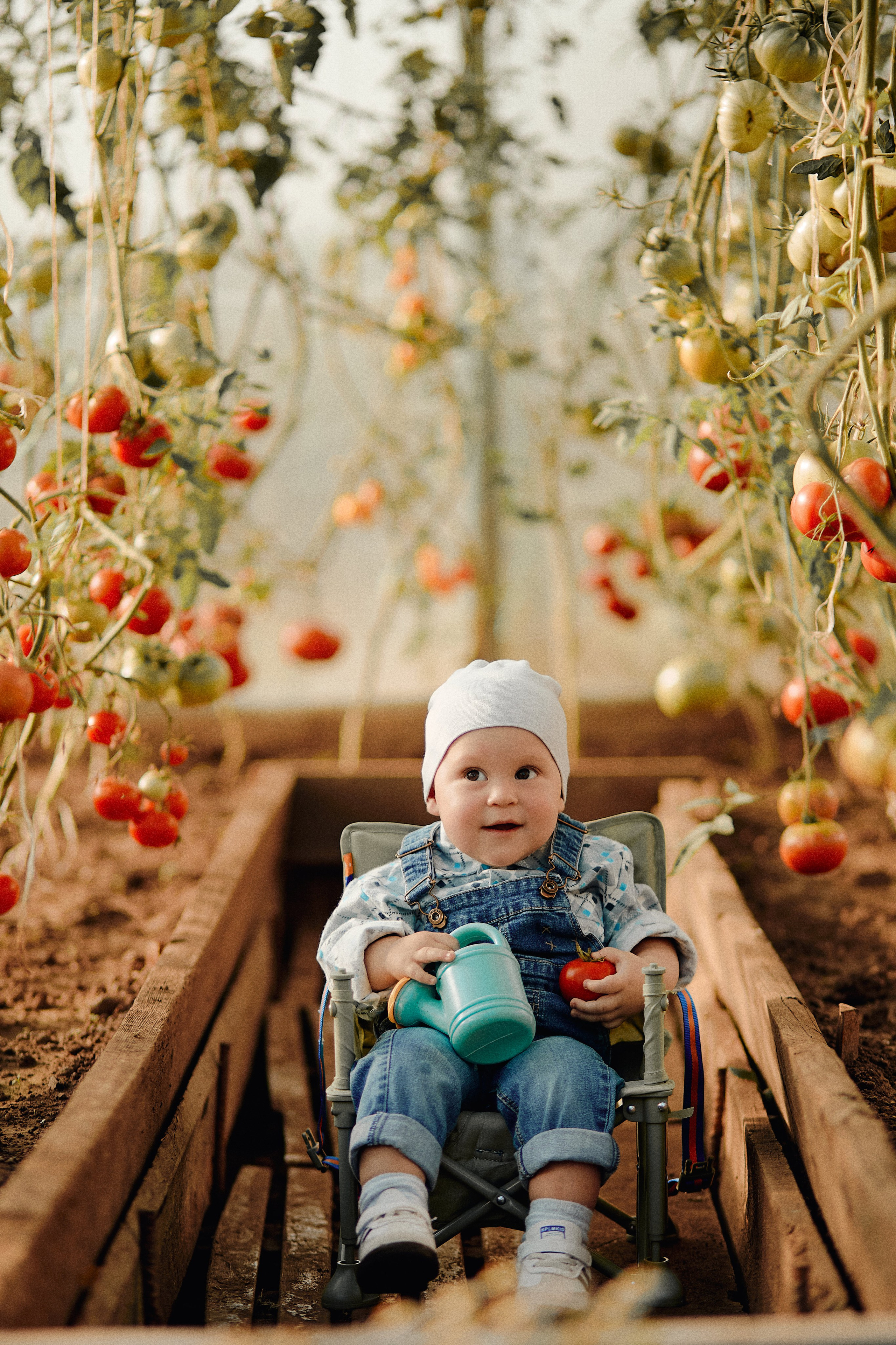 Дима, Маша и Лео. Свадебный фотограф Чайковский