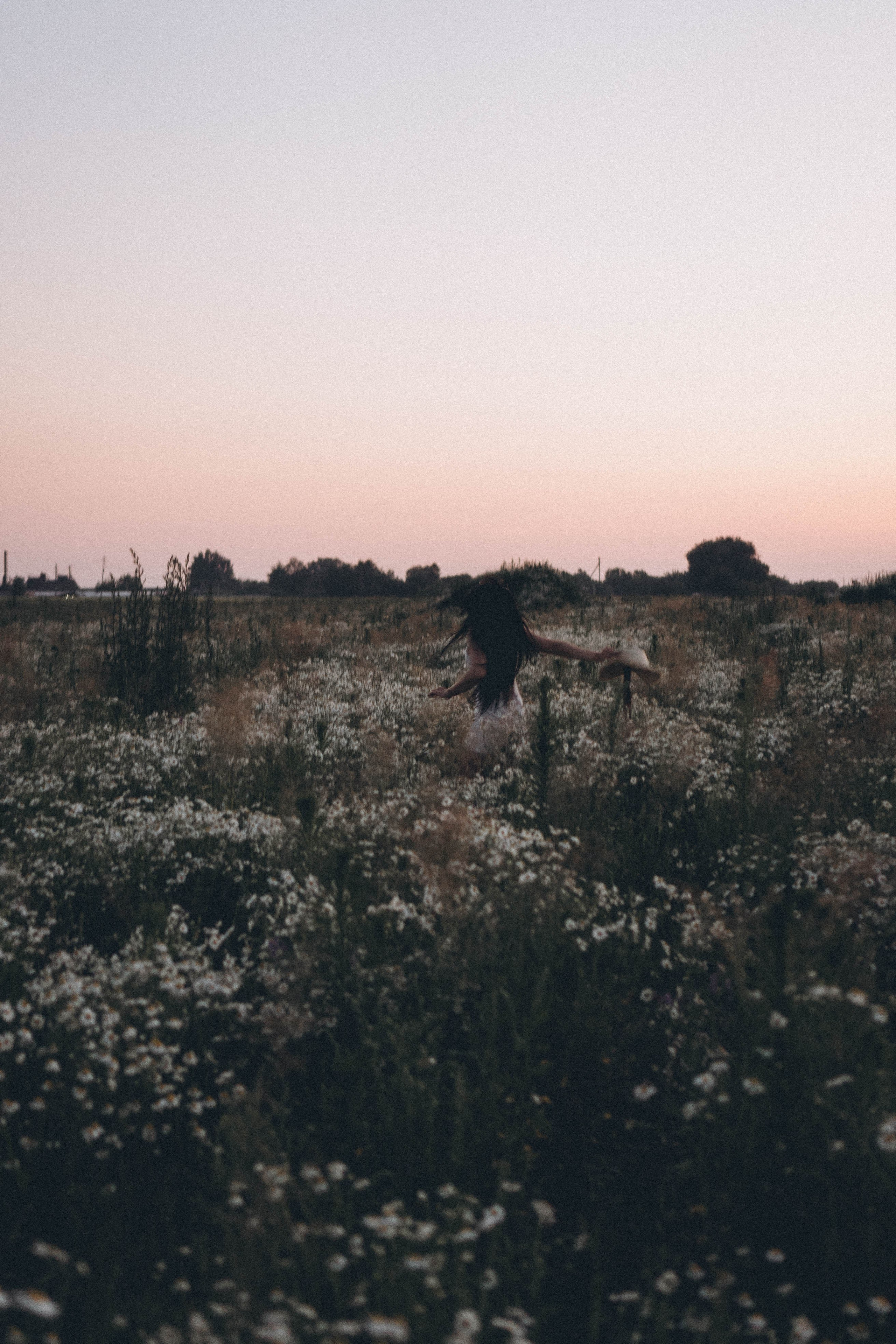 Ромашковое поле. Профессиональный фотограф, Санкт-Петербург — Виктория Богомолова