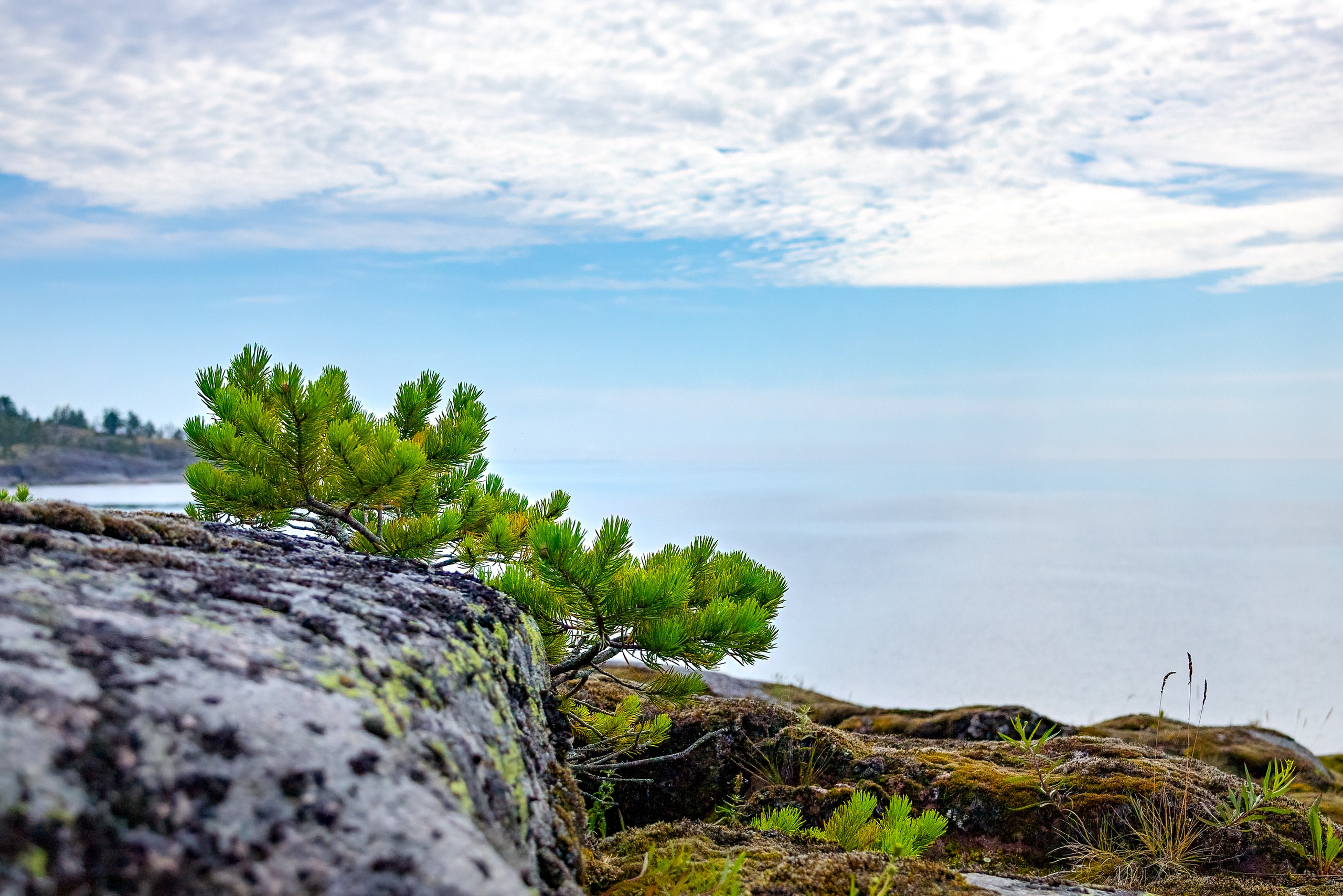 Ладожское озеро. Аэросъемка. Фото и Видео в Карелии. Алексей Фрилунд