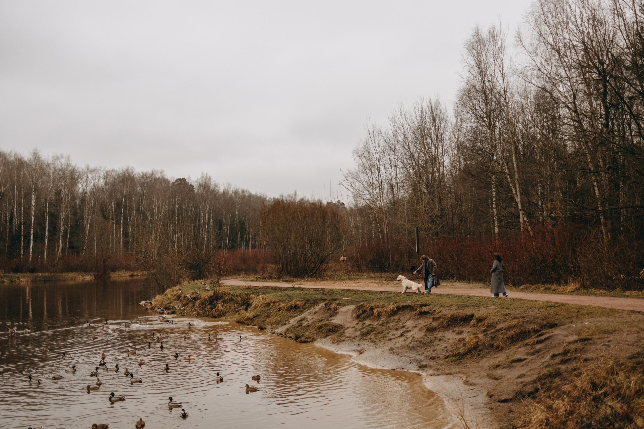 Лаки и его семья. Фотограф — Анималист | Санкт-Петербург