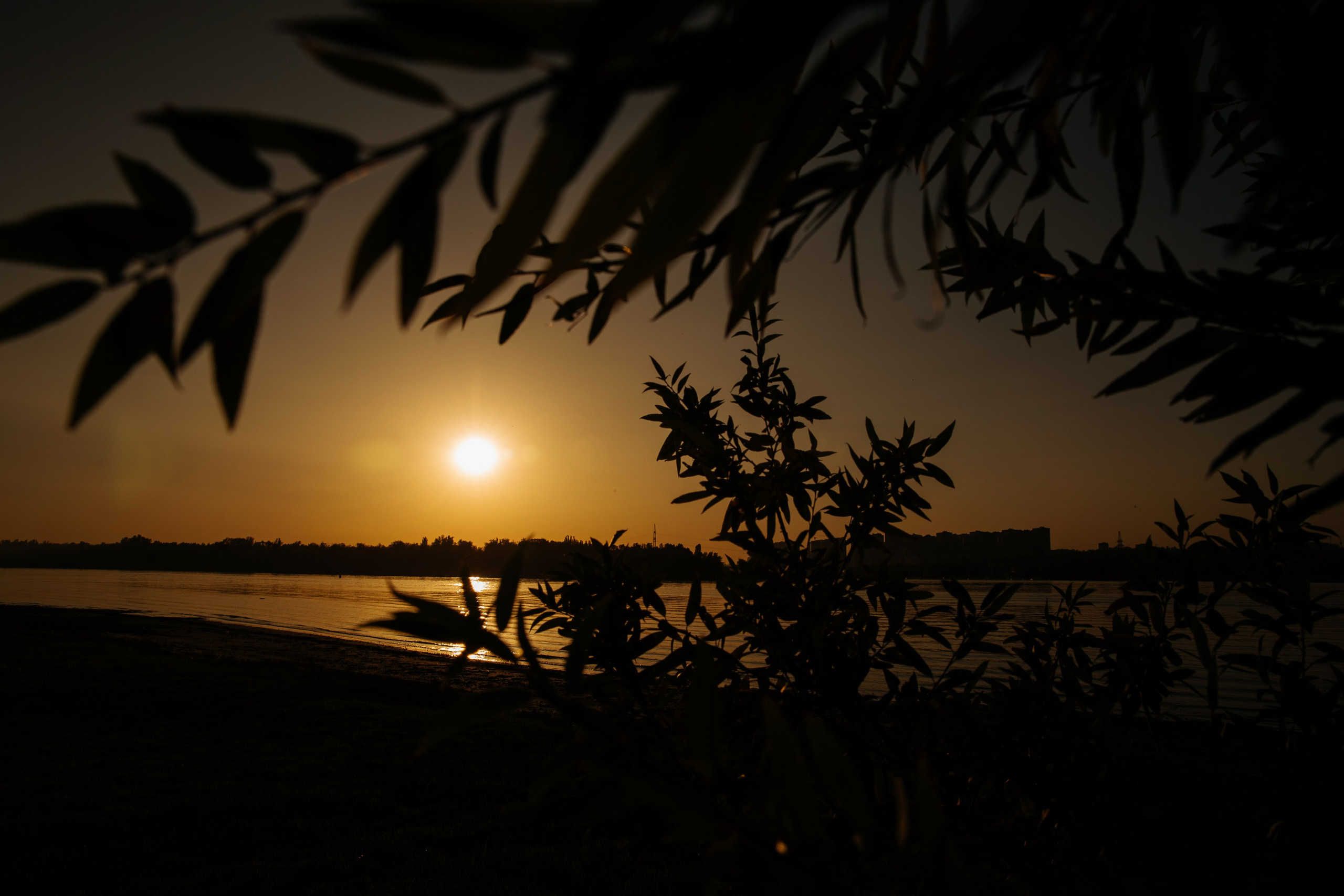 День Рождения в стиле Barbie