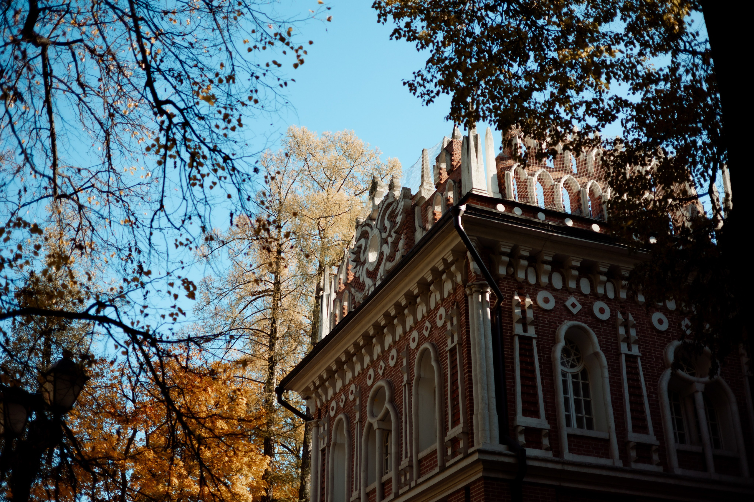 Осени краски. Фотограф в Москве Дарья Гоглева