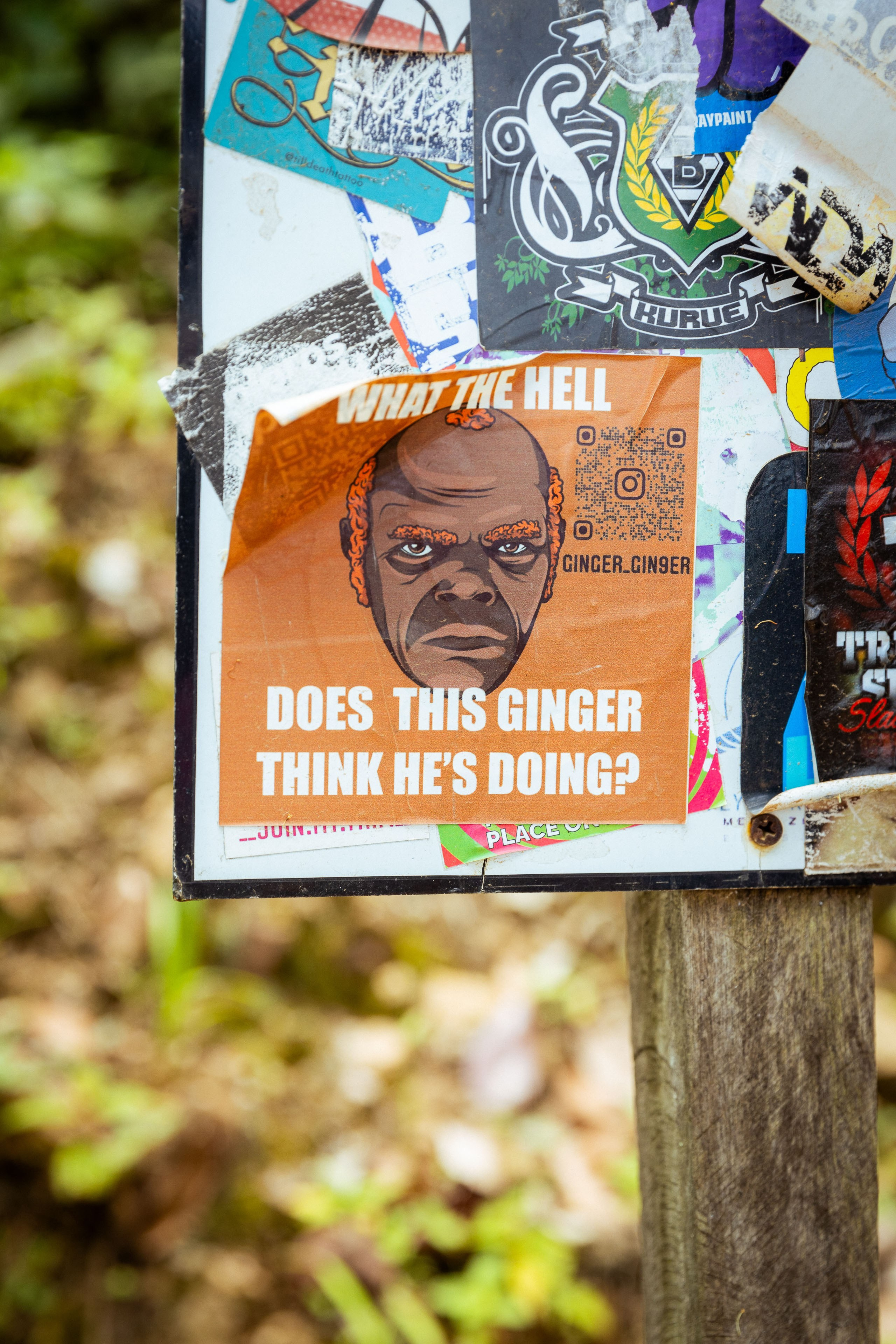 Шри-Ланка (весна 2024). Фотограф Виноградов Константин