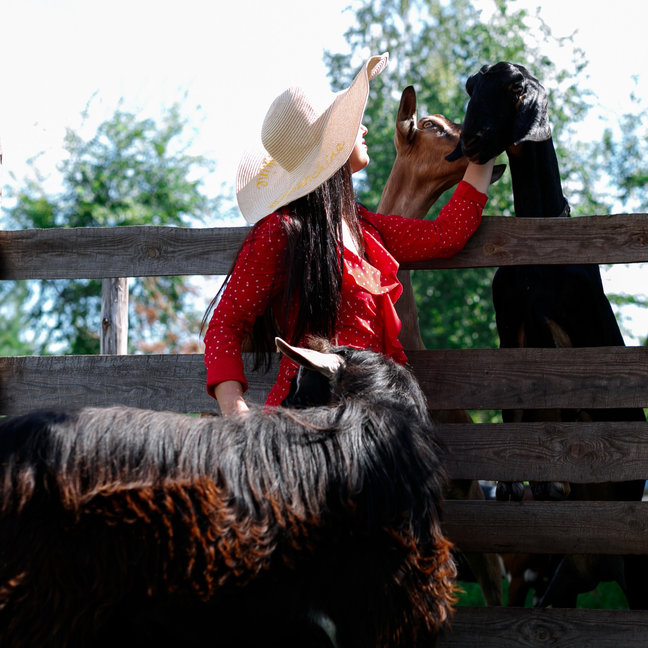 Женский портрет. Фотограф в Воронеже Иван Самодуров