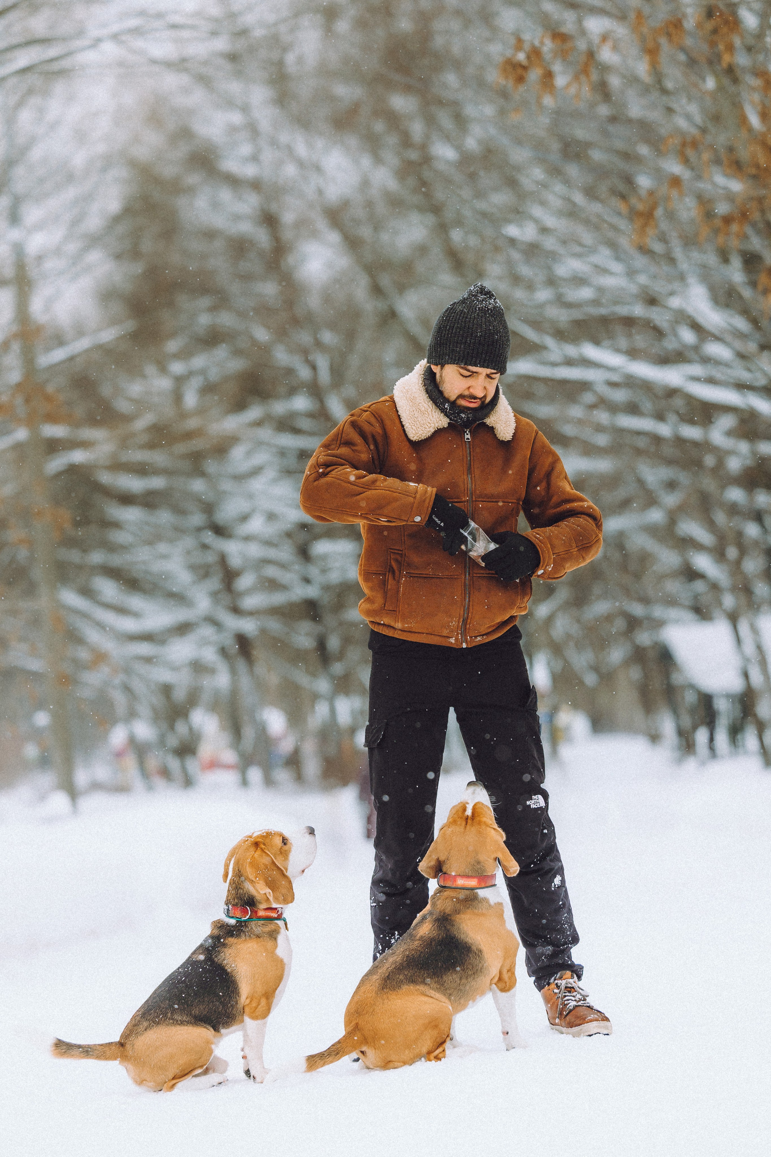 Роман, Портер и Коррес