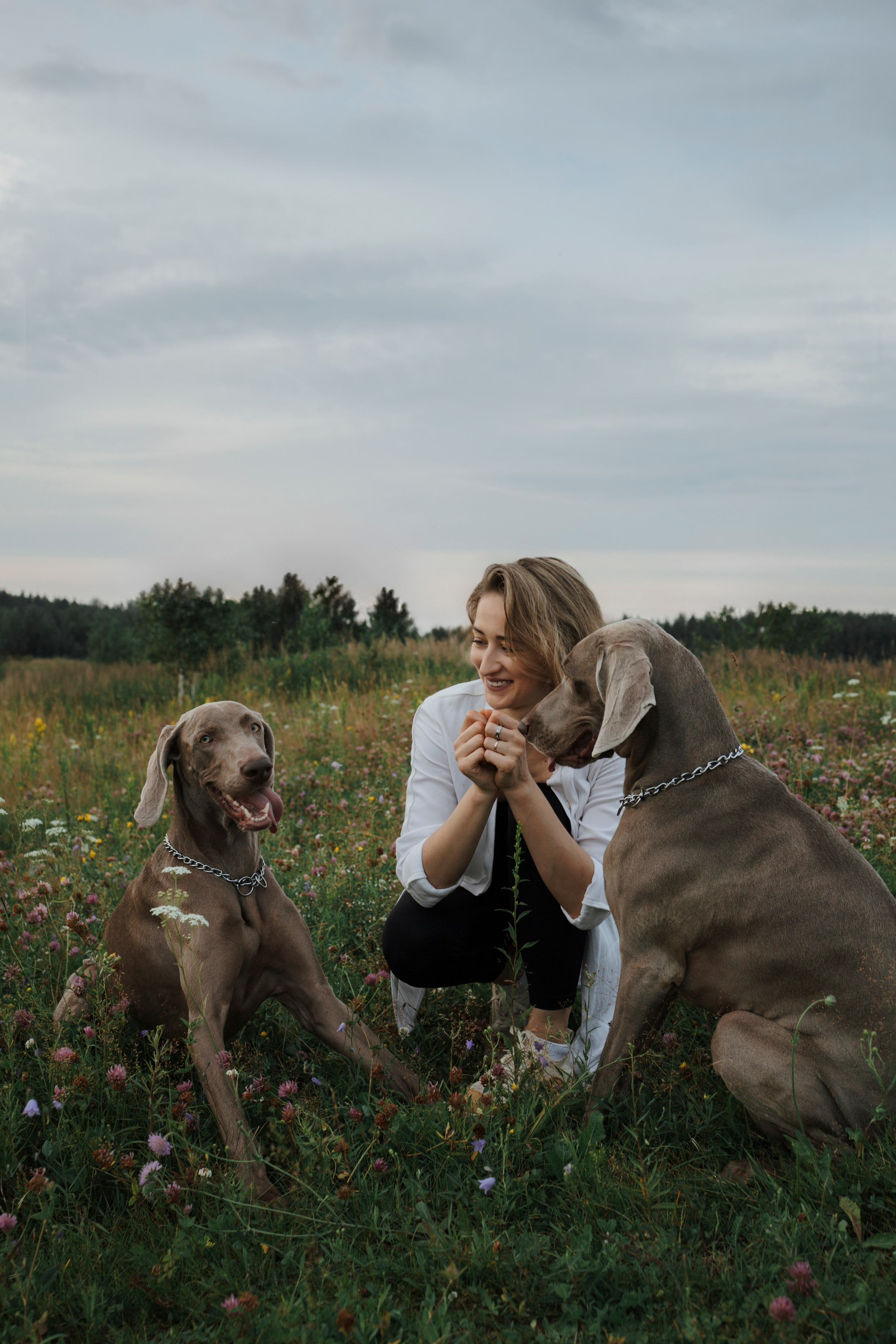 Маргарита и веймаранеры. Фотограф-анималист в Санкт-Петеребурге Титова Алиса