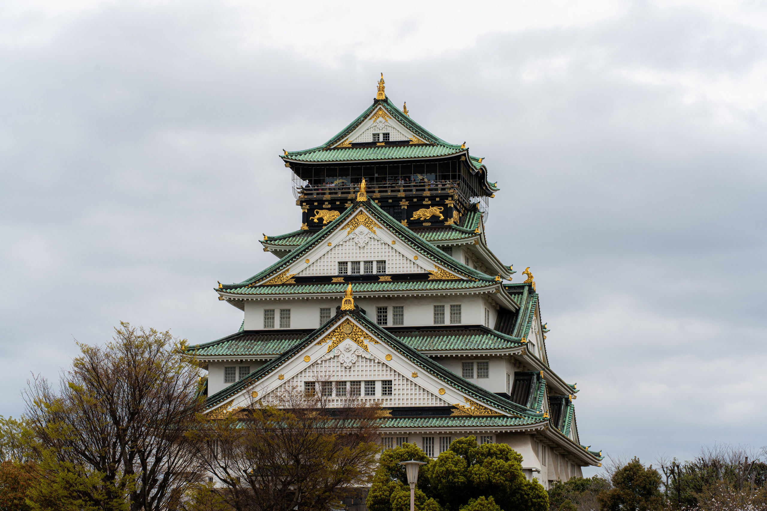 Япония, сакура. Творческие сьемки