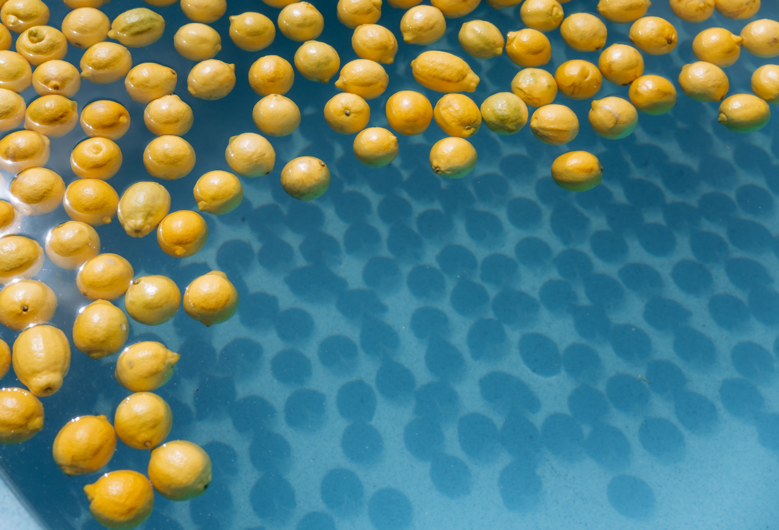 Корпоратив La Dolce Vita. Фотограф Виктория Дунаевская в Санкт Петербурге