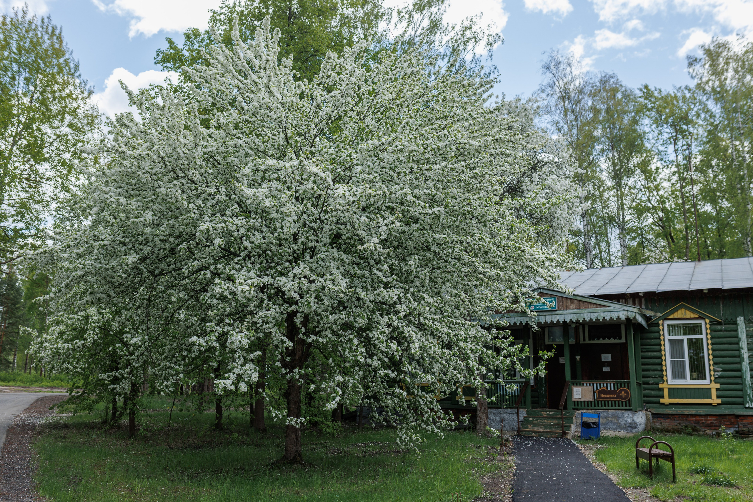 База отдыха «Металлург». Фотограф городских и семейных событий в Нижнем Новгороде Артем Карпухин