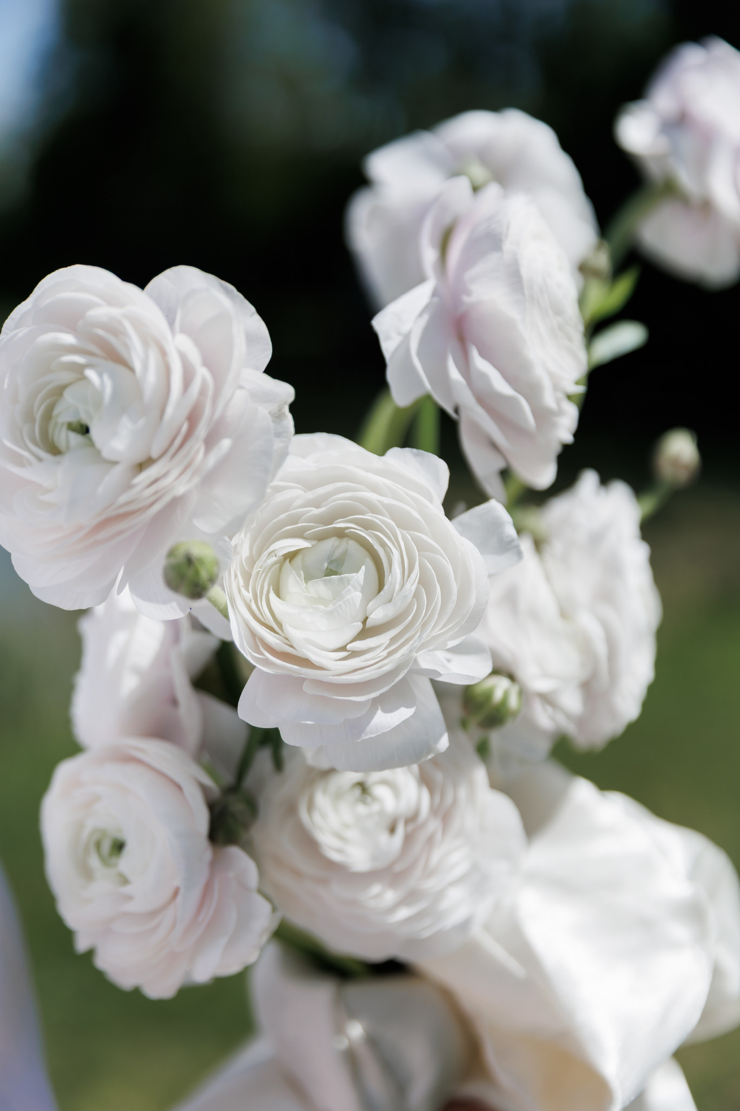 V&K. Свадебный фотограф. Москва. Мытищи